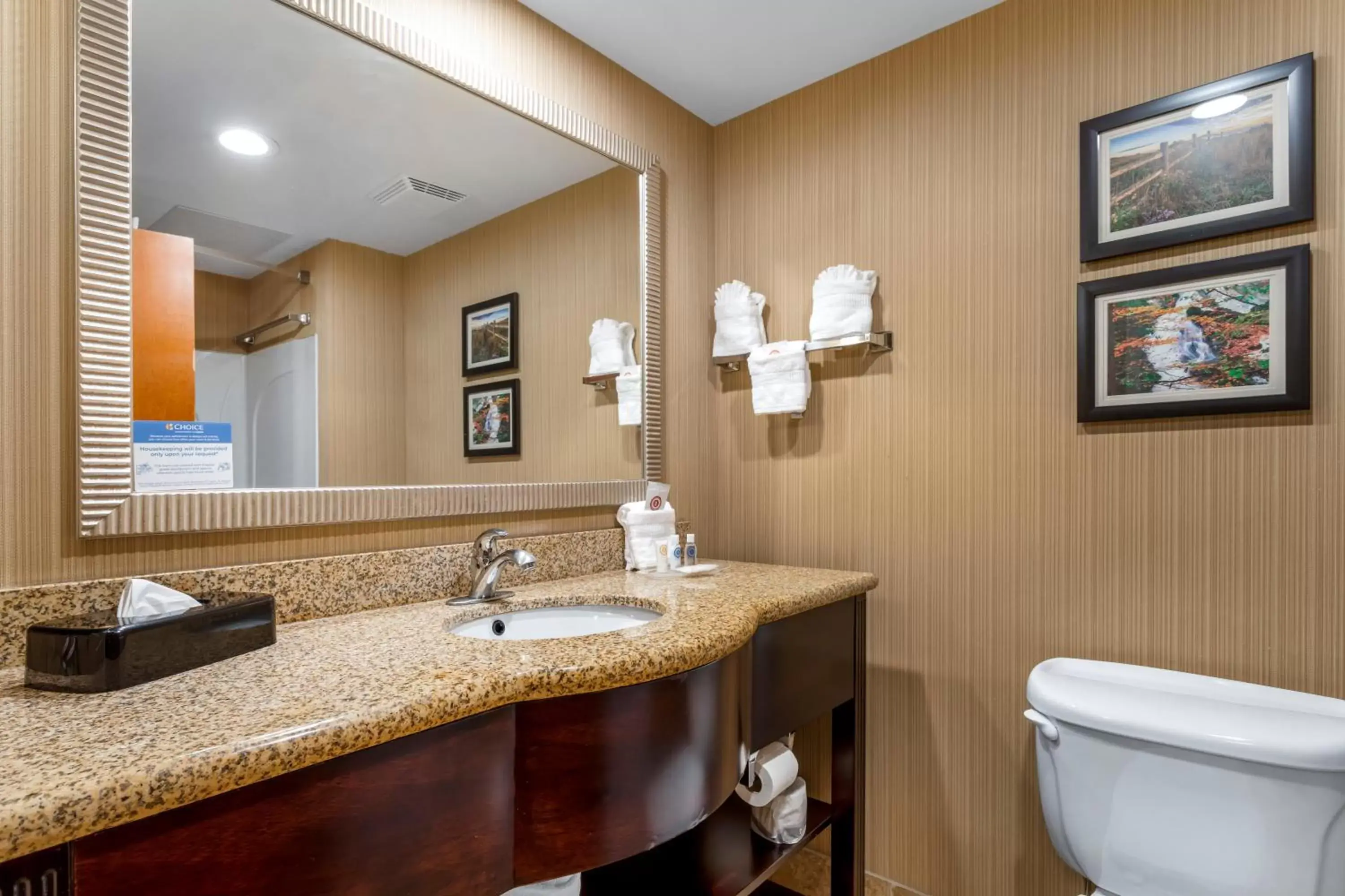 Bathroom in Comfort Suites North Knoxville
