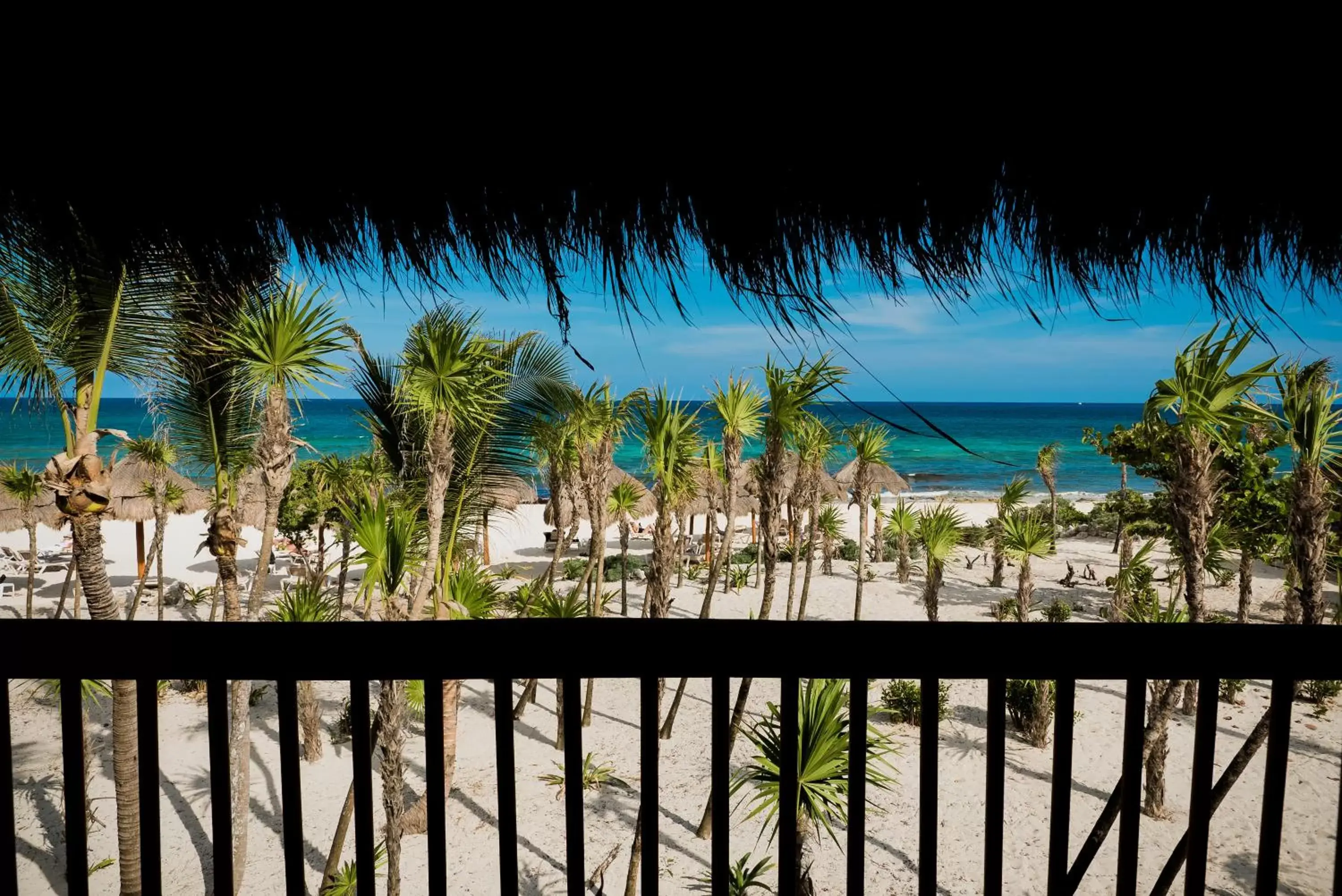 View (from property/room) in Valentin Imperial Riviera Maya All Inclusive - Adults Only