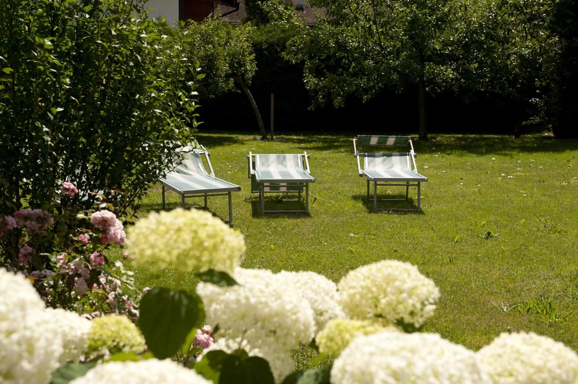 Garden in Alpenhotel Tirolerhof