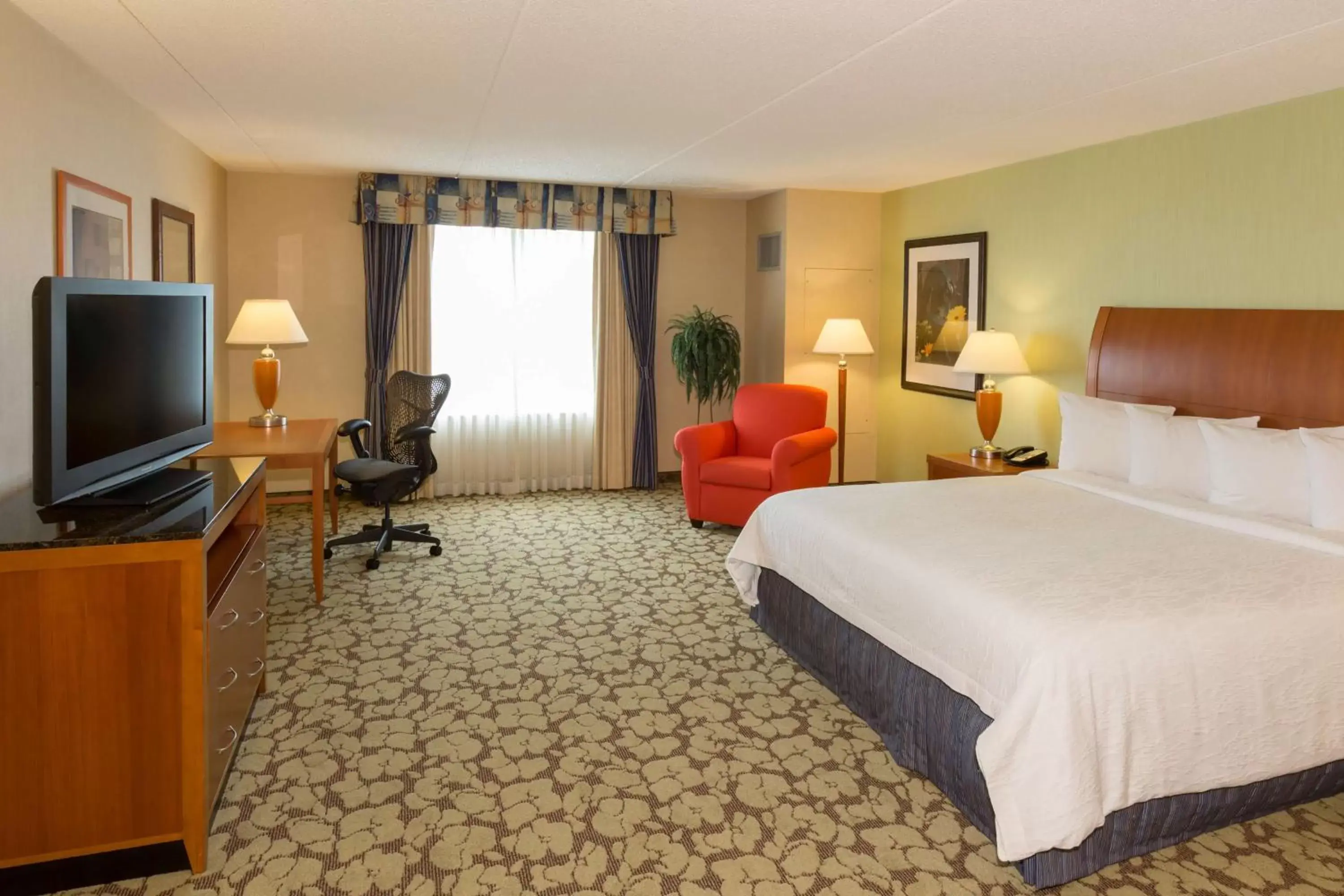 Bedroom, TV/Entertainment Center in Hilton Garden Inn Buffalo Airport