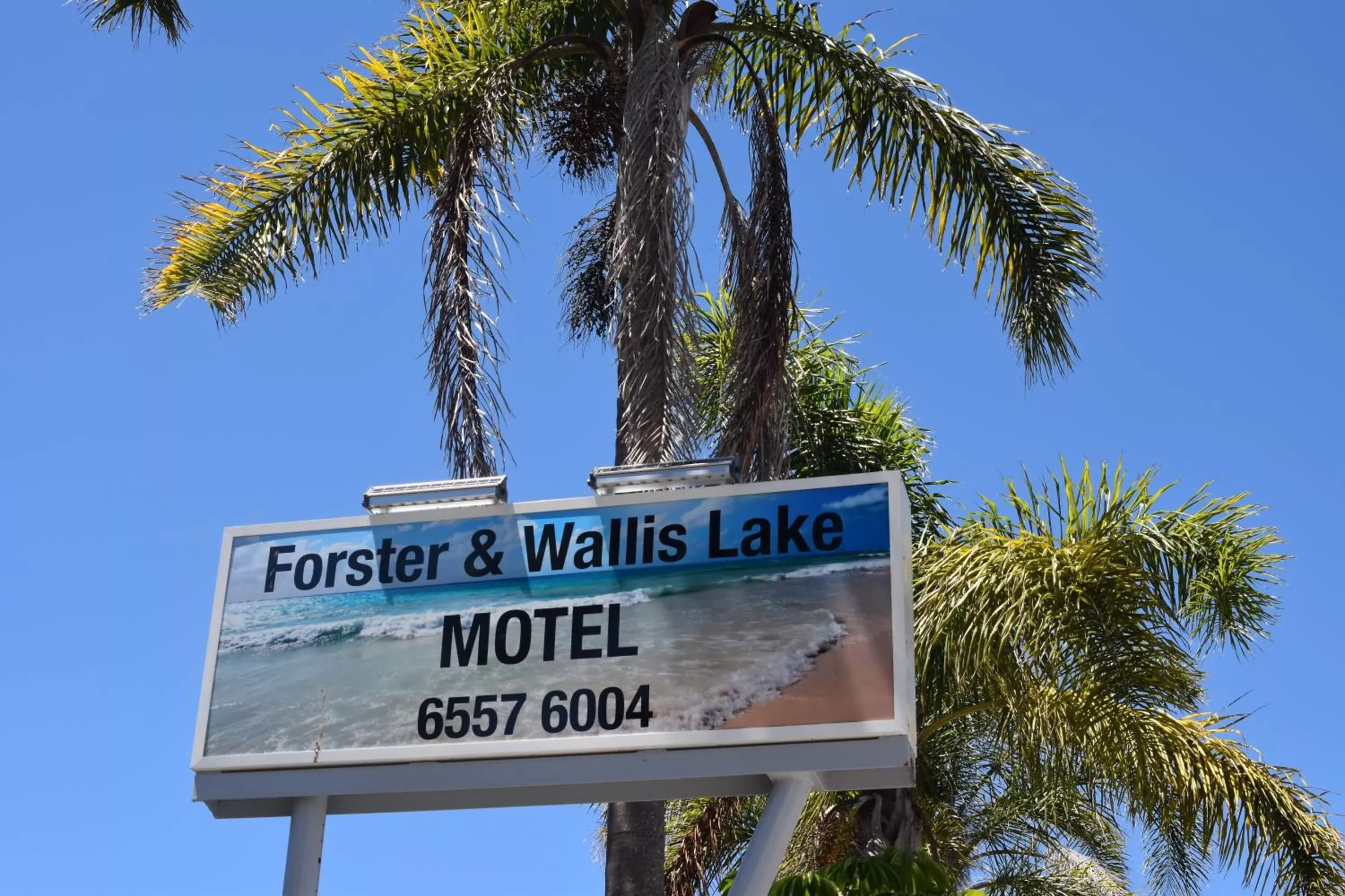 Logo/Certificate/Sign in Forster and Wallis Lake Motel