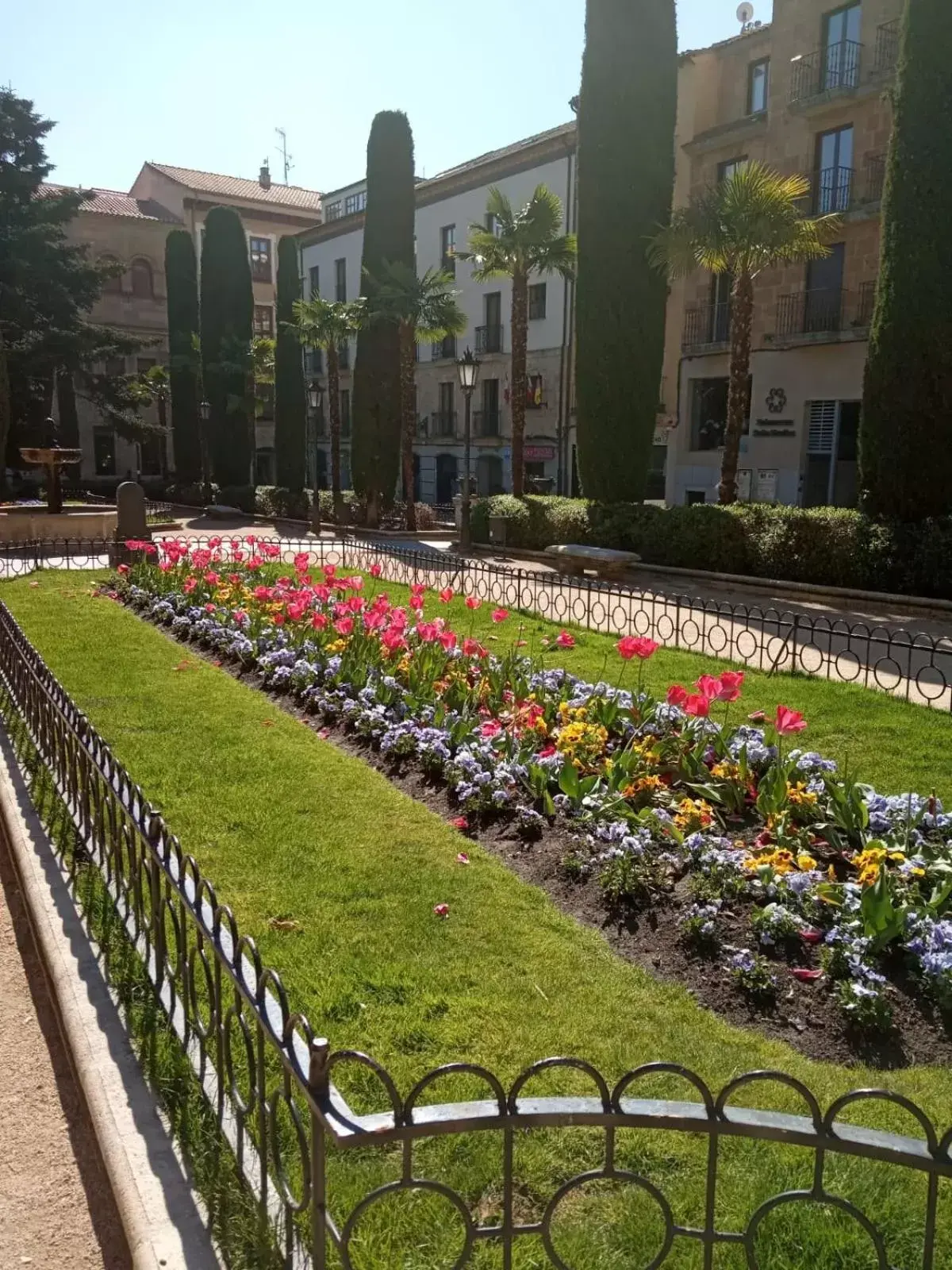 City view in Salamanca Suites Libertad