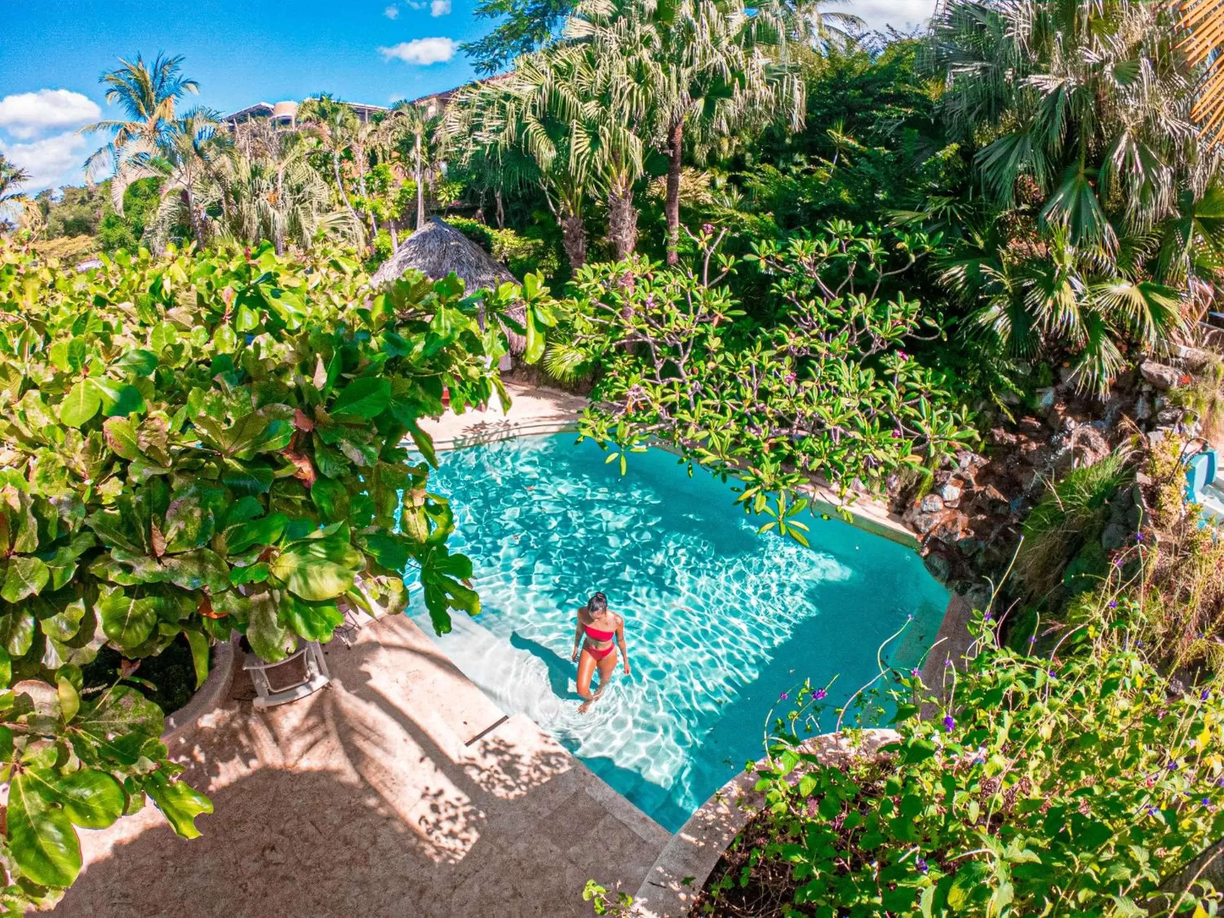 Swimming pool, Pool View in Jardin del Eden Boutique Hotel