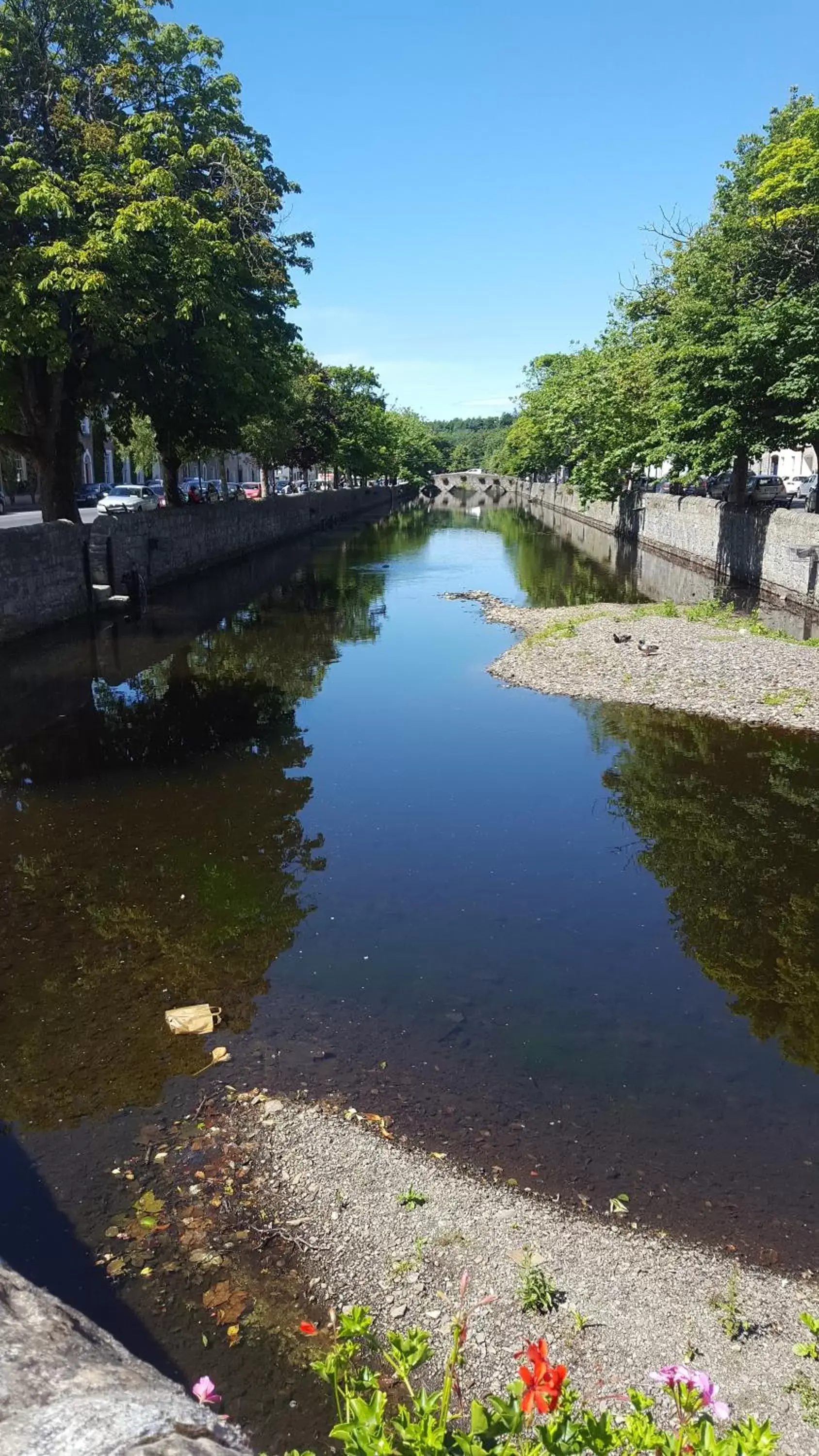 Natural Landscape in Cú Chulainns Accommodation