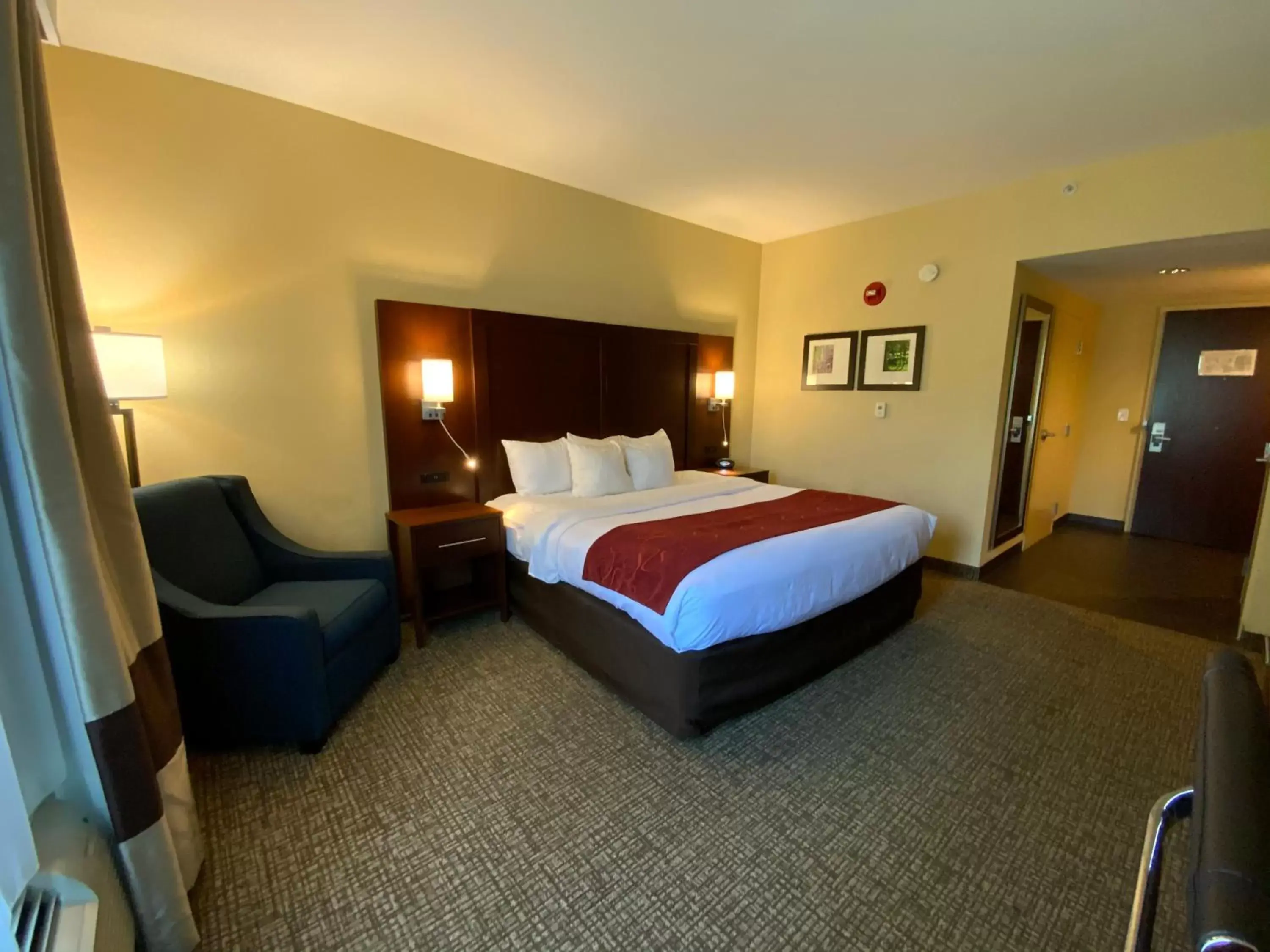 Bedroom, Bed in Comfort Suites Fredericksburg North