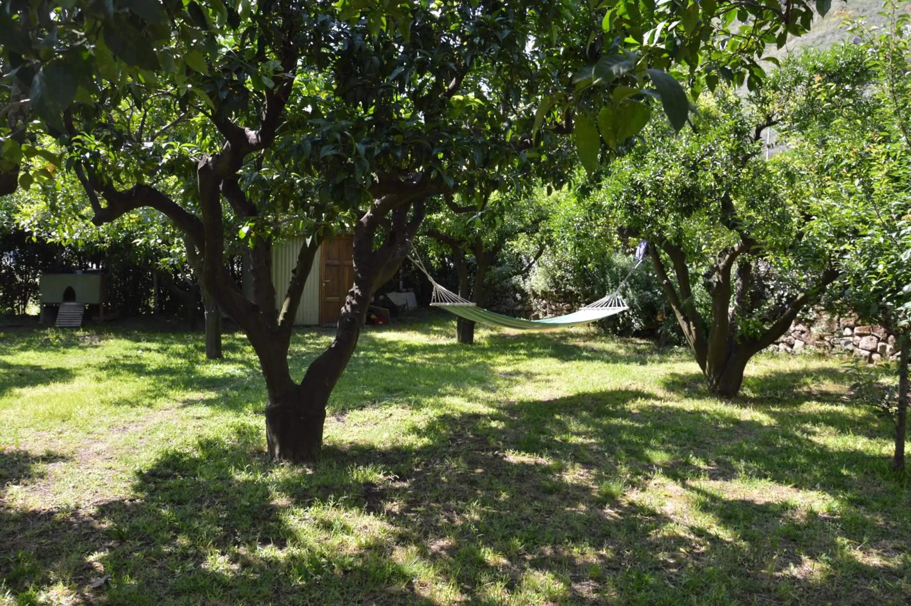 Garden view, Garden in La casa di Barry