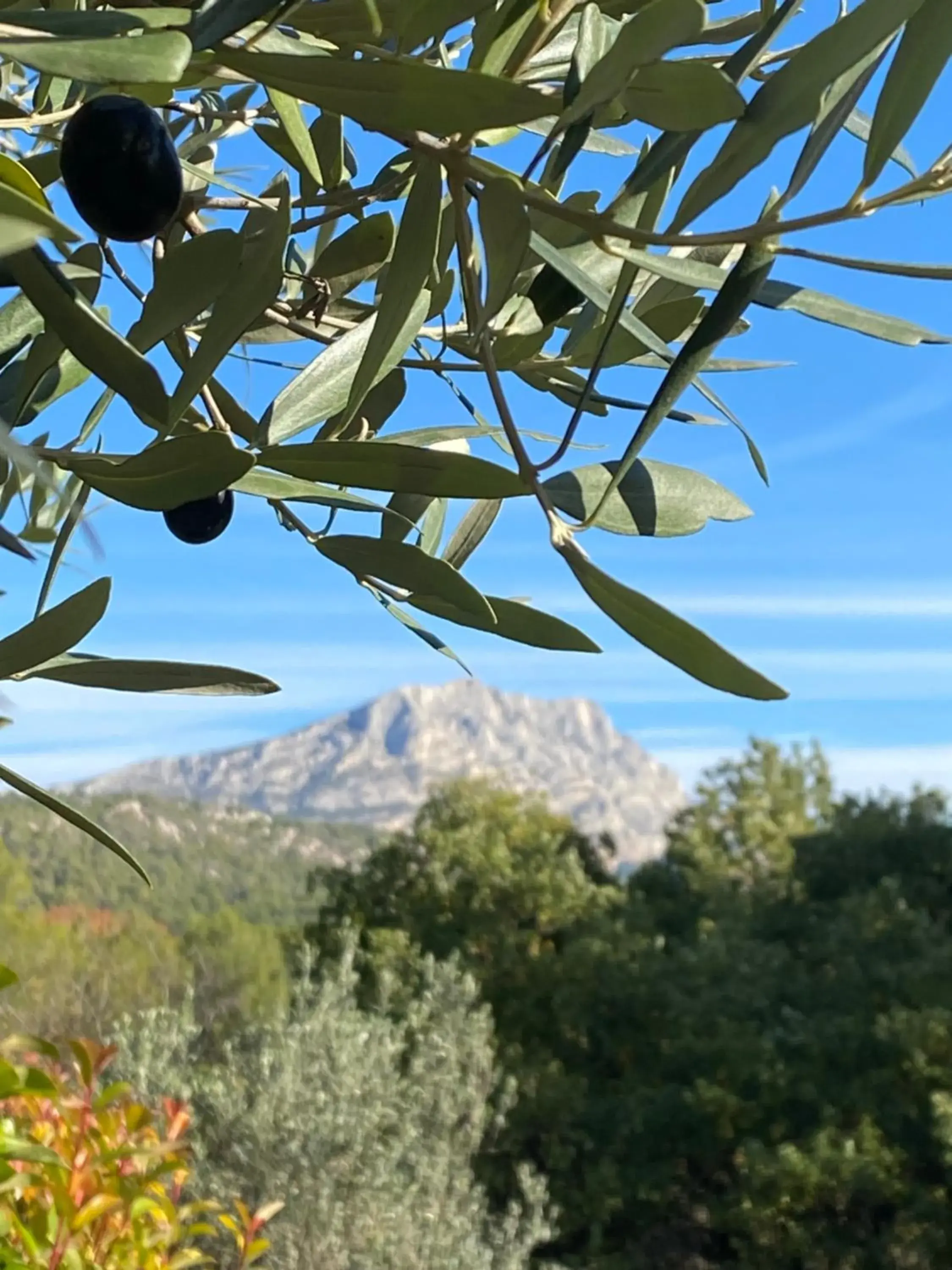 Natural landscape in Les Lodges Sainte-Victoire Hotel & Spa