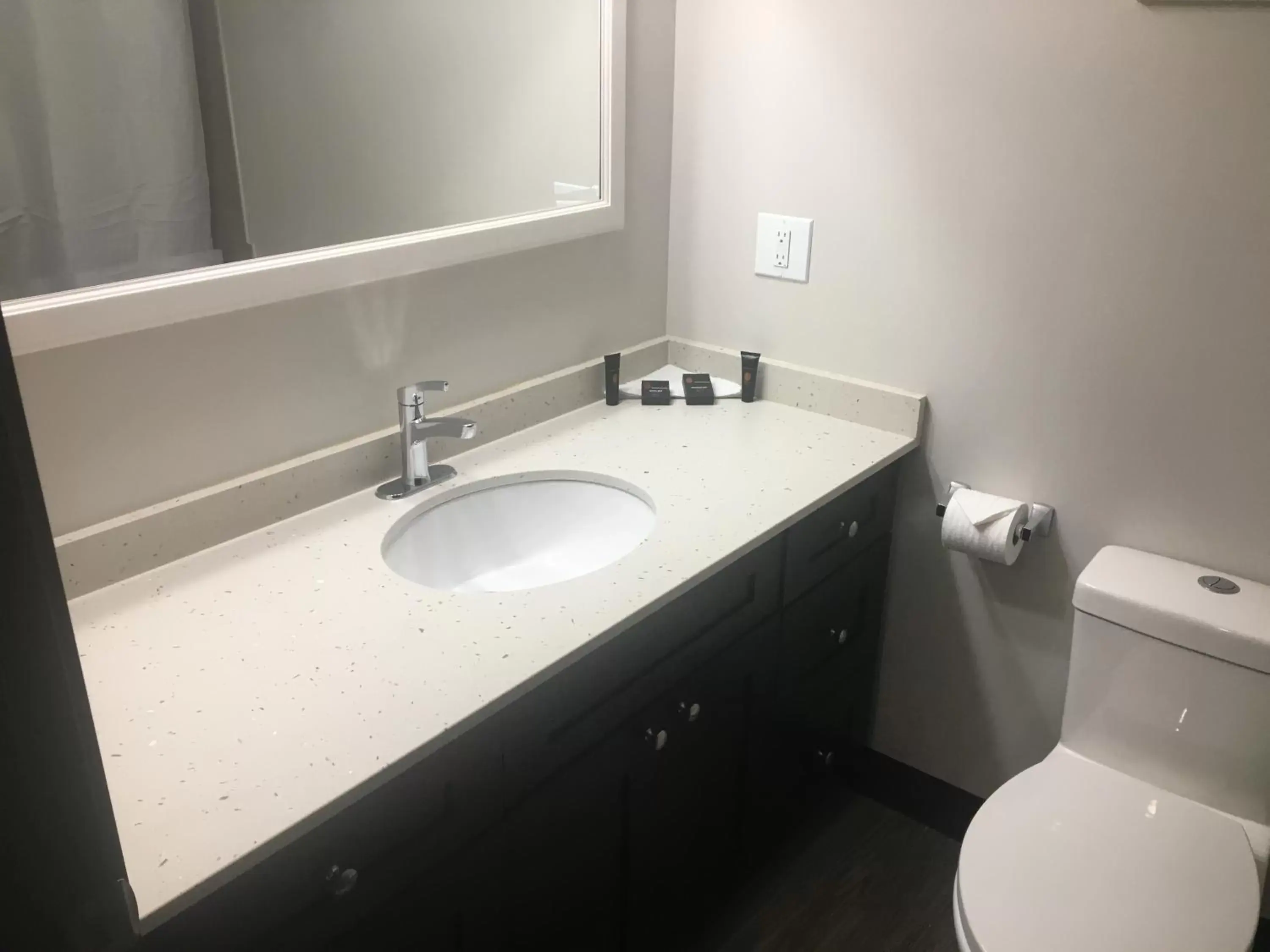 Bathroom in Homestead Inn & Suites