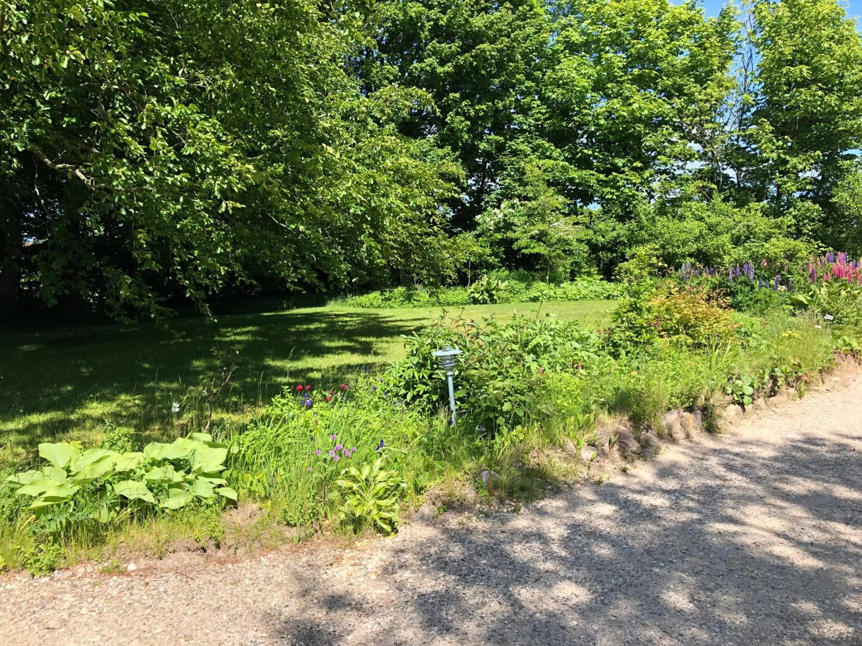 Garden in Landevejens B&B Holstebro