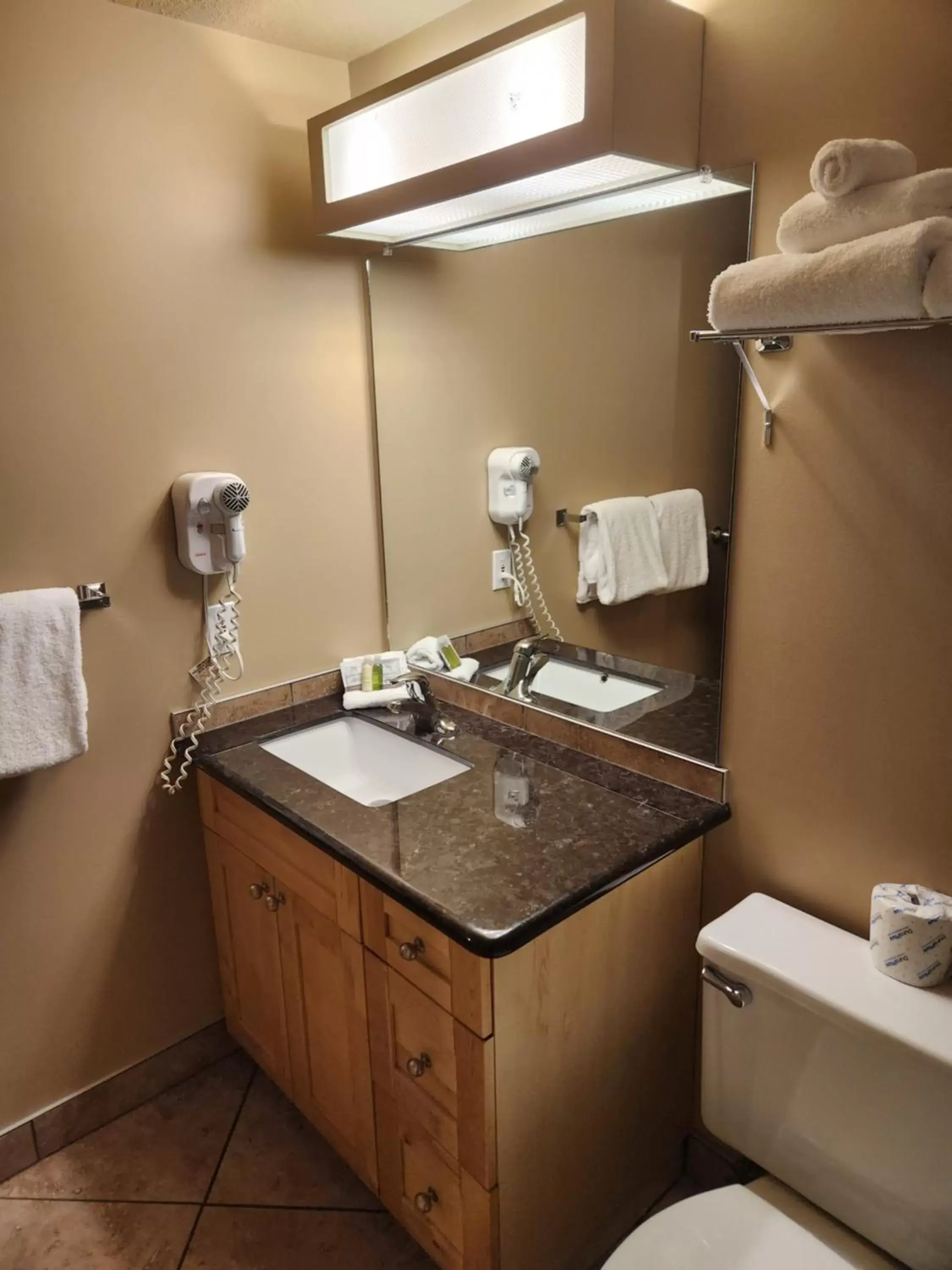Toilet, Bathroom in Waterton Lakes Lodge Resort