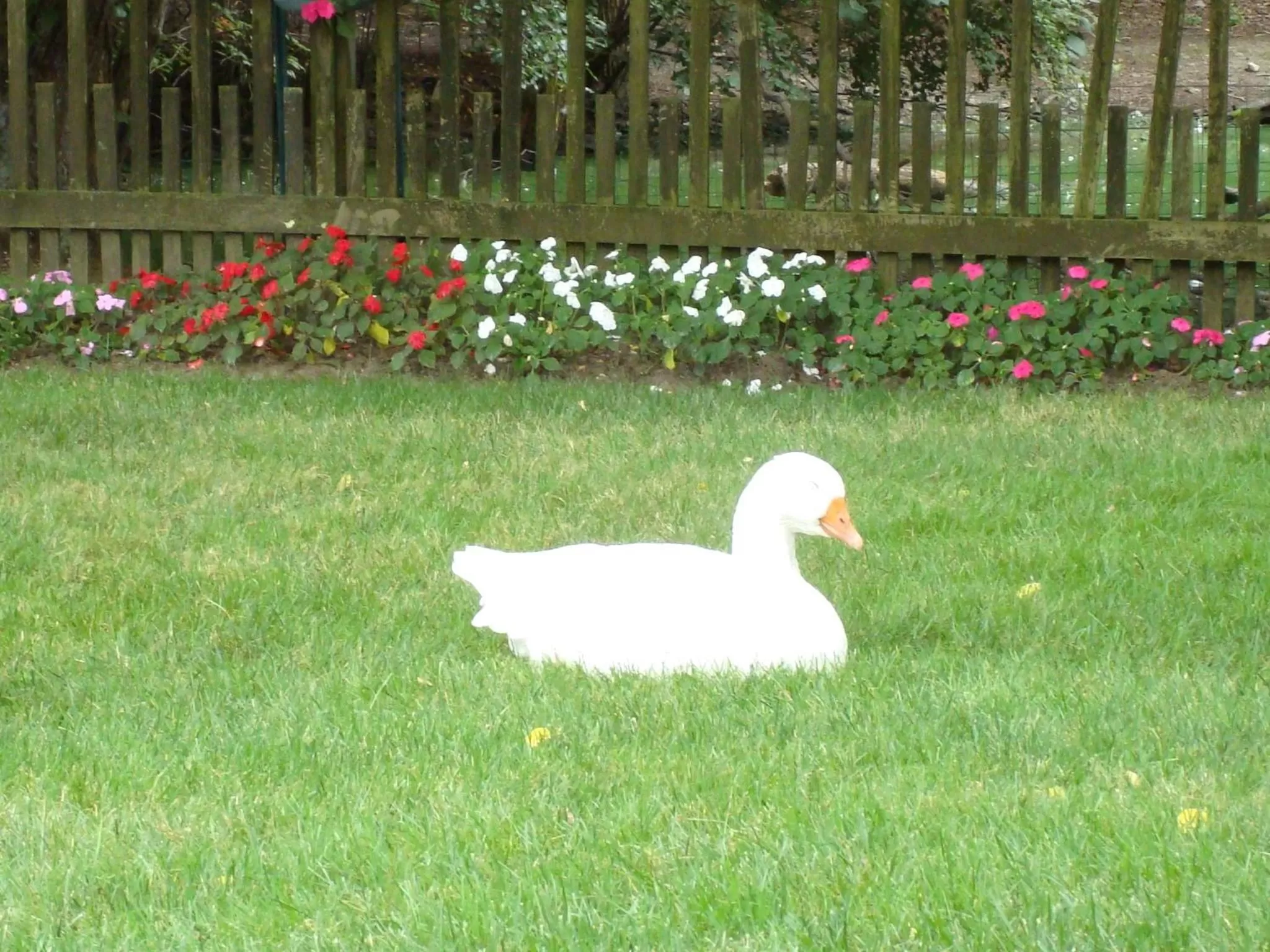 Facade/entrance in The Earl of Sandwich Motel