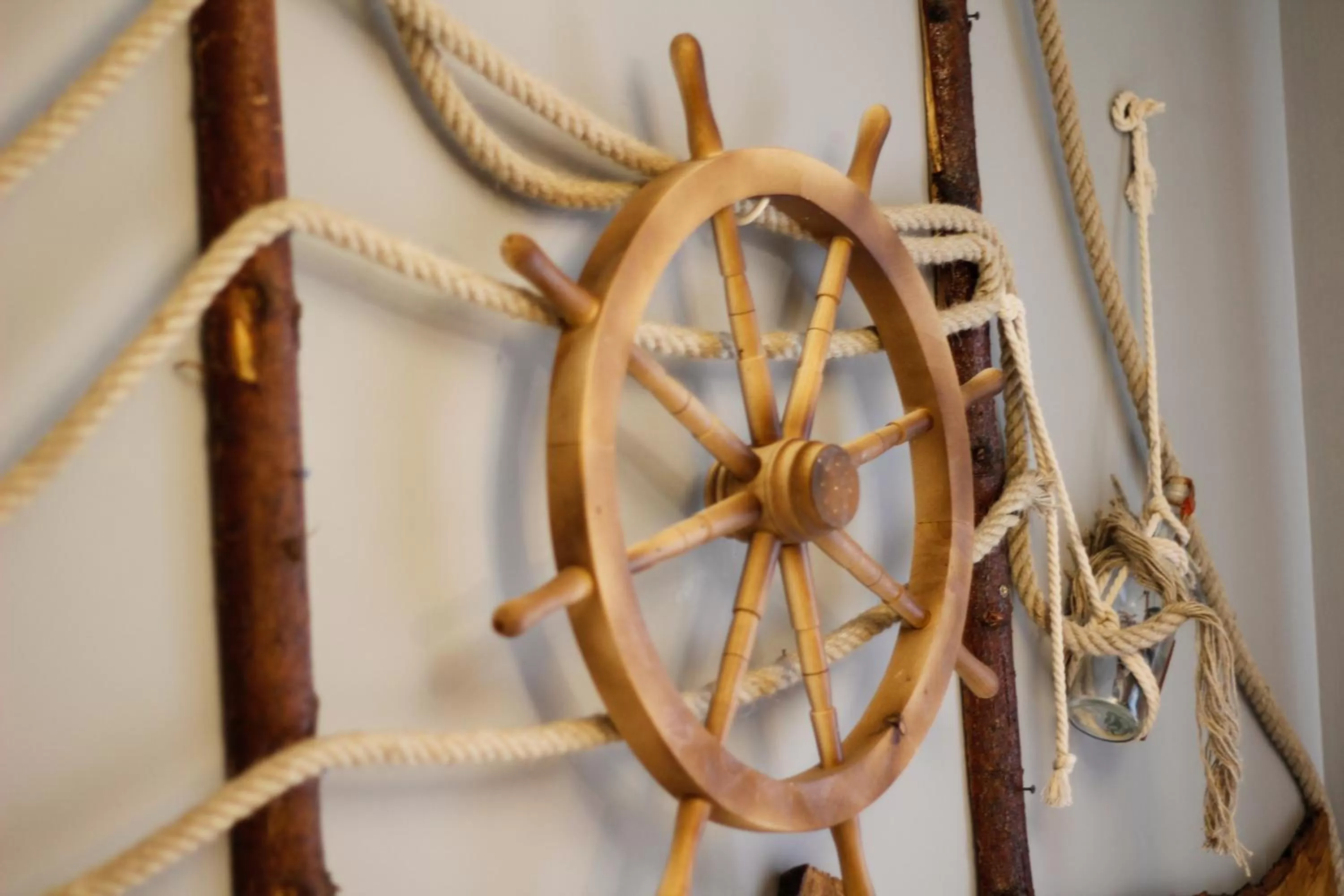 Other in Pensiunea Taverna Bucium