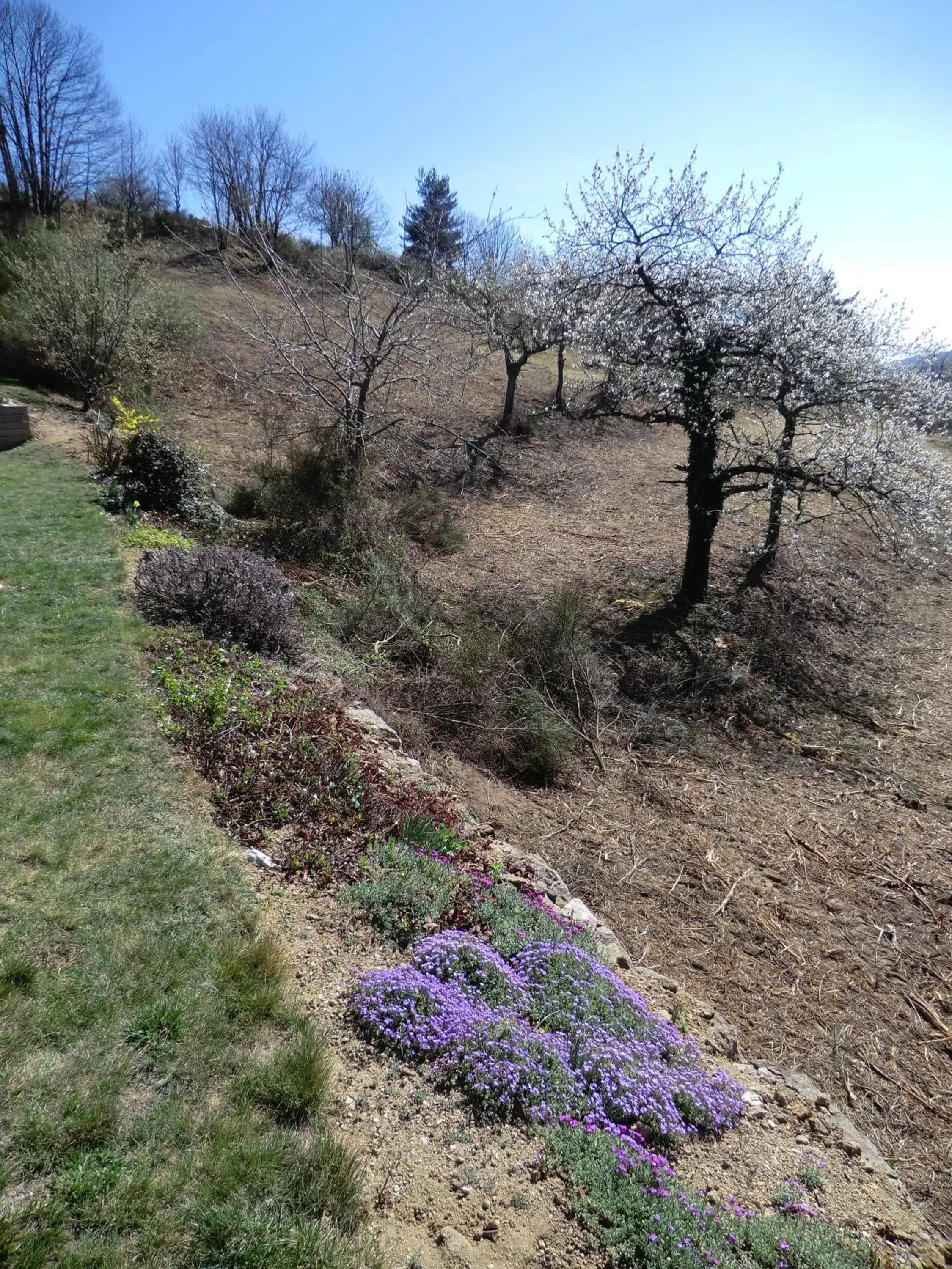 Garden view in La Bastide de Fontaille