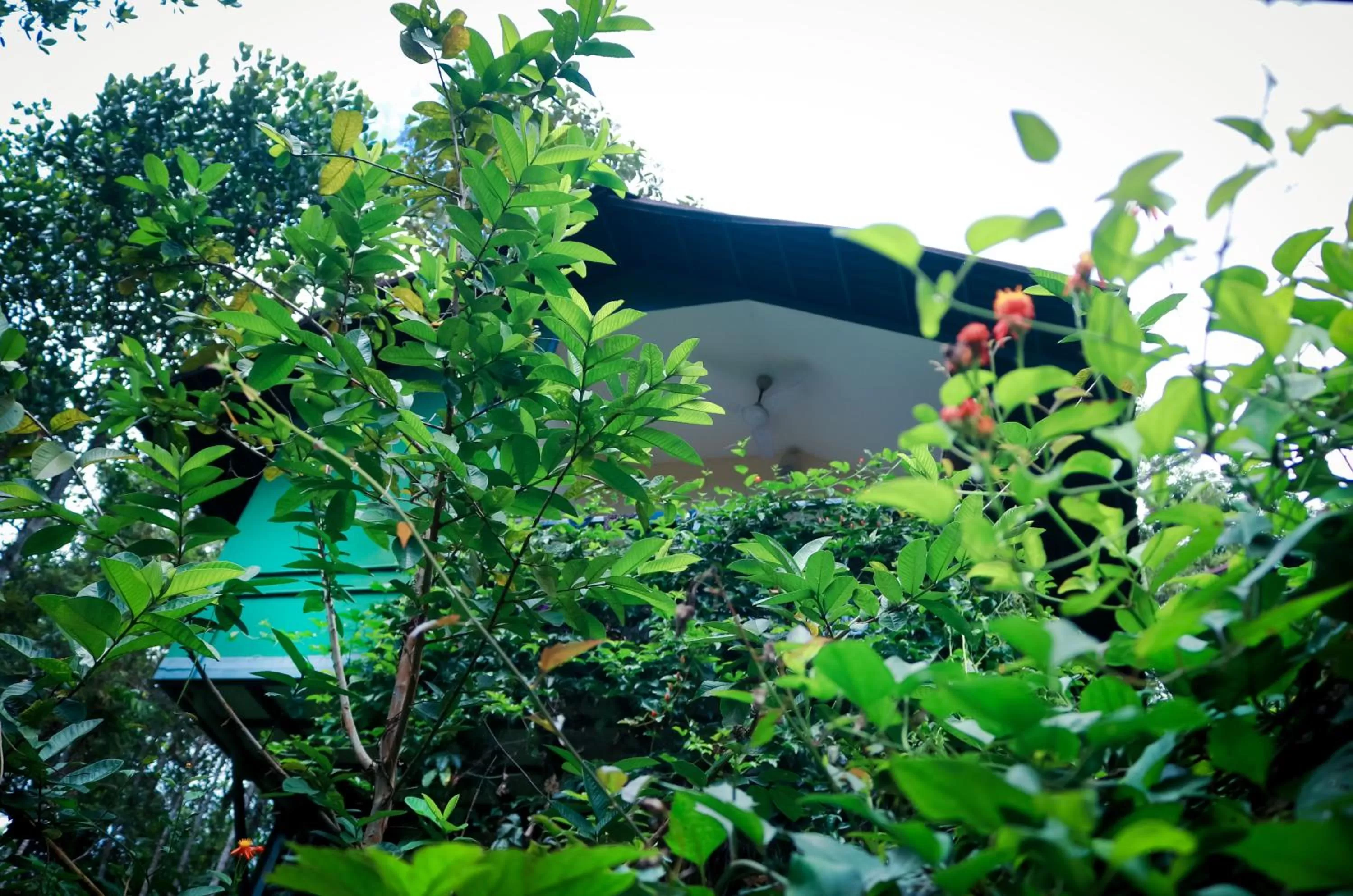 Day, Property Building in Edens Munnar