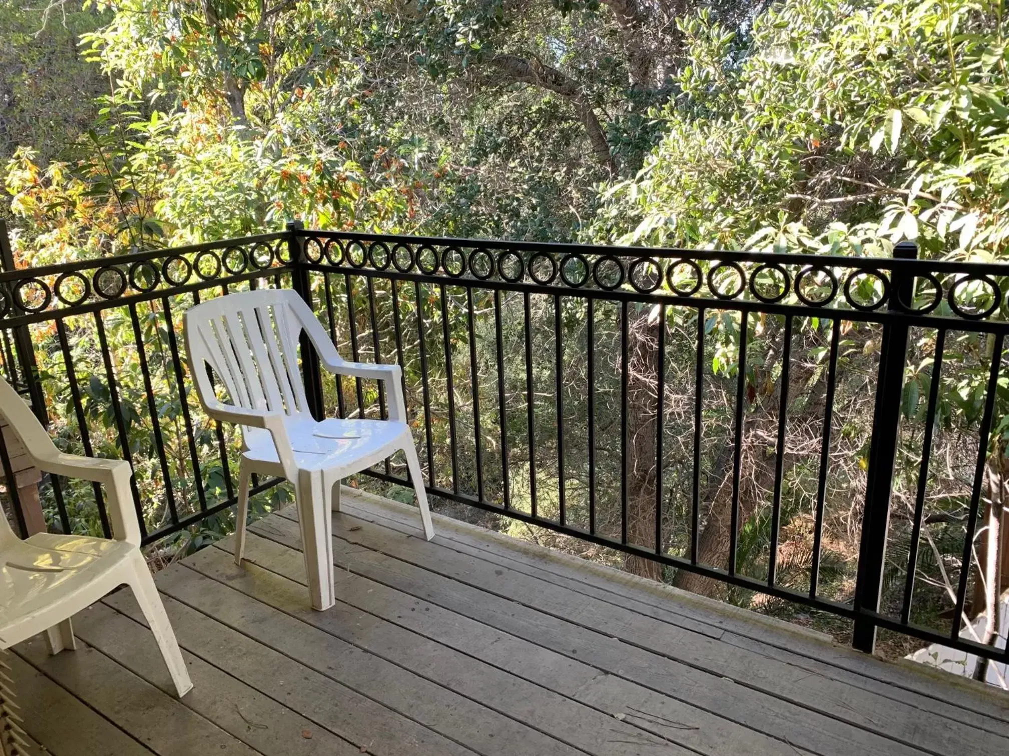 Balcony/Terrace in Olive Tree Inn & Suites