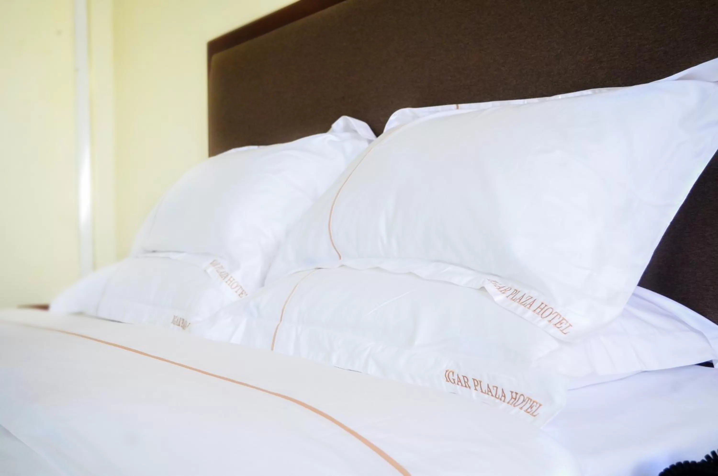 Decorative detail in Igar Plaza Hotel