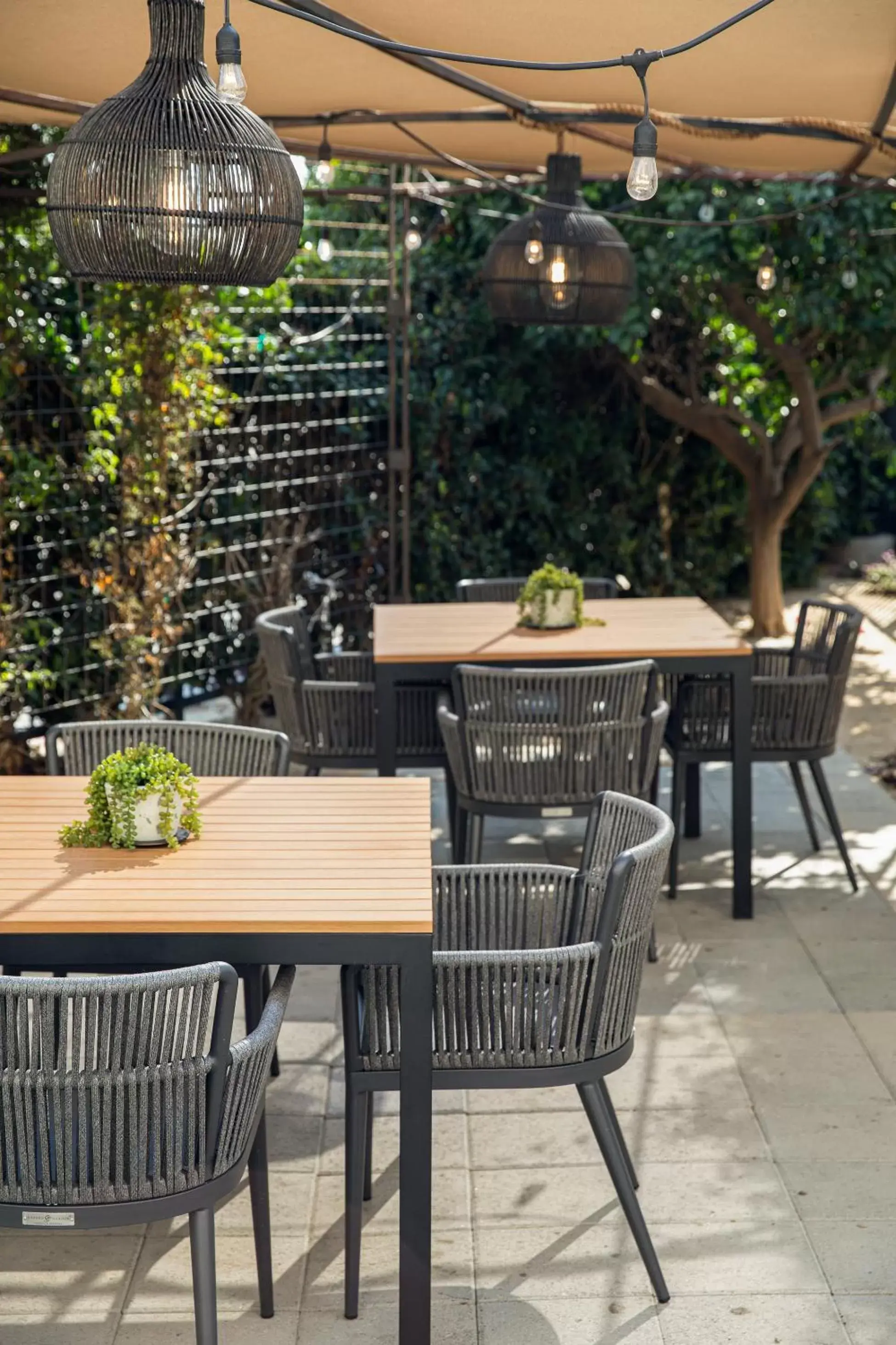 Seating area, Restaurant/Places to Eat in Ayres Hotel Fountain Valley