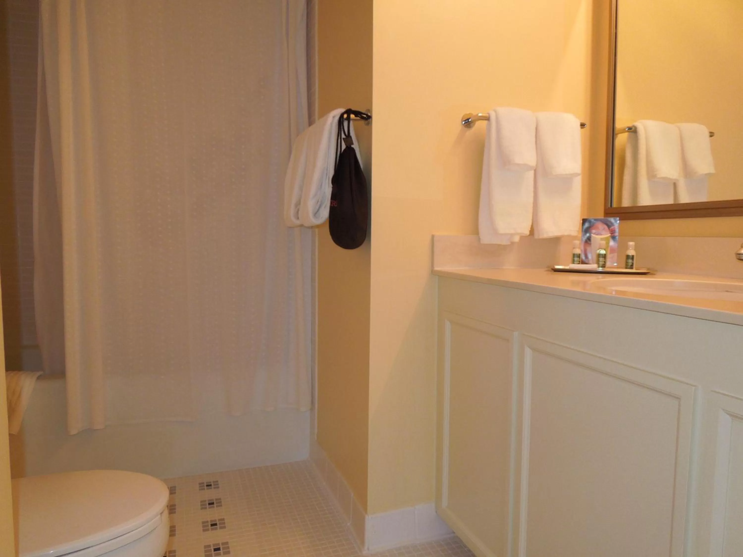 Bathroom in Henley Park Hotel