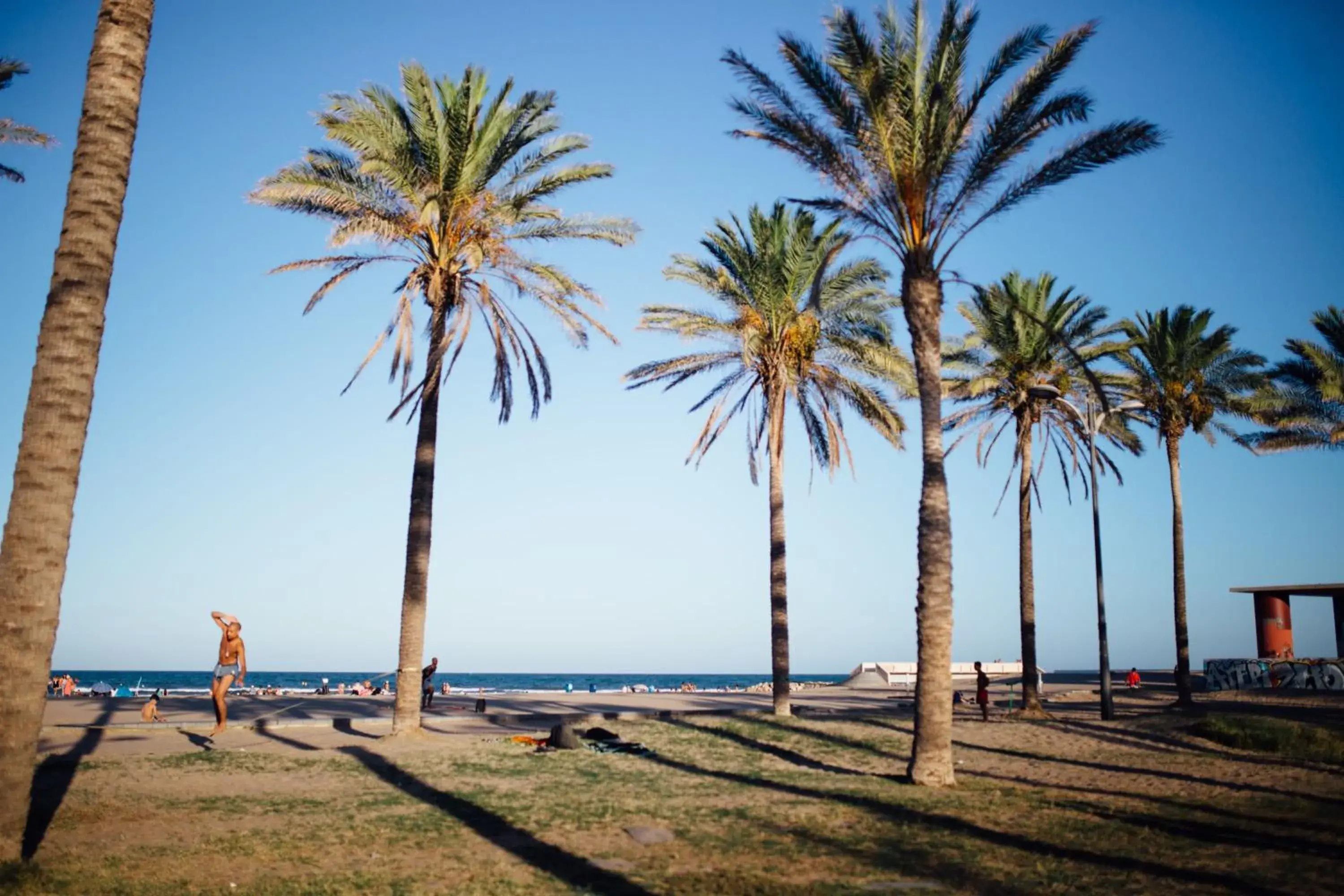 Beach in Valenciaflats Ciudad de las Ciencias