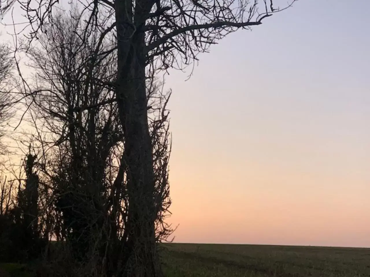 Natural landscape in Hotel Du Chateau