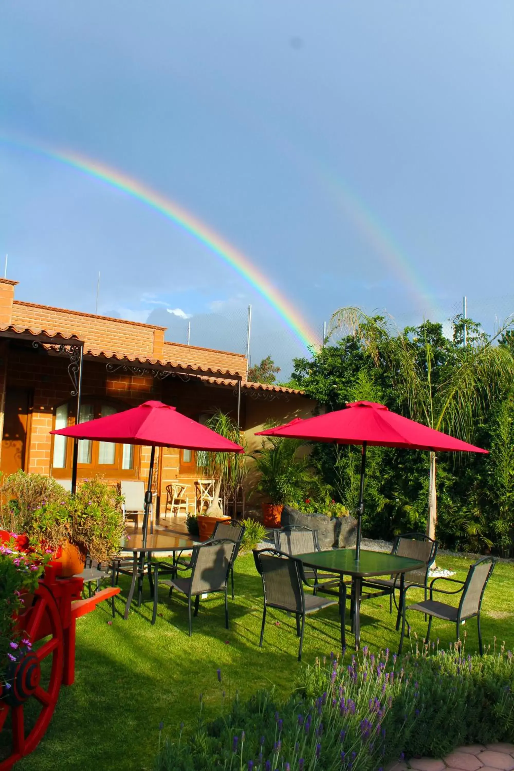 Garden in Hotel Boutique La Herencia