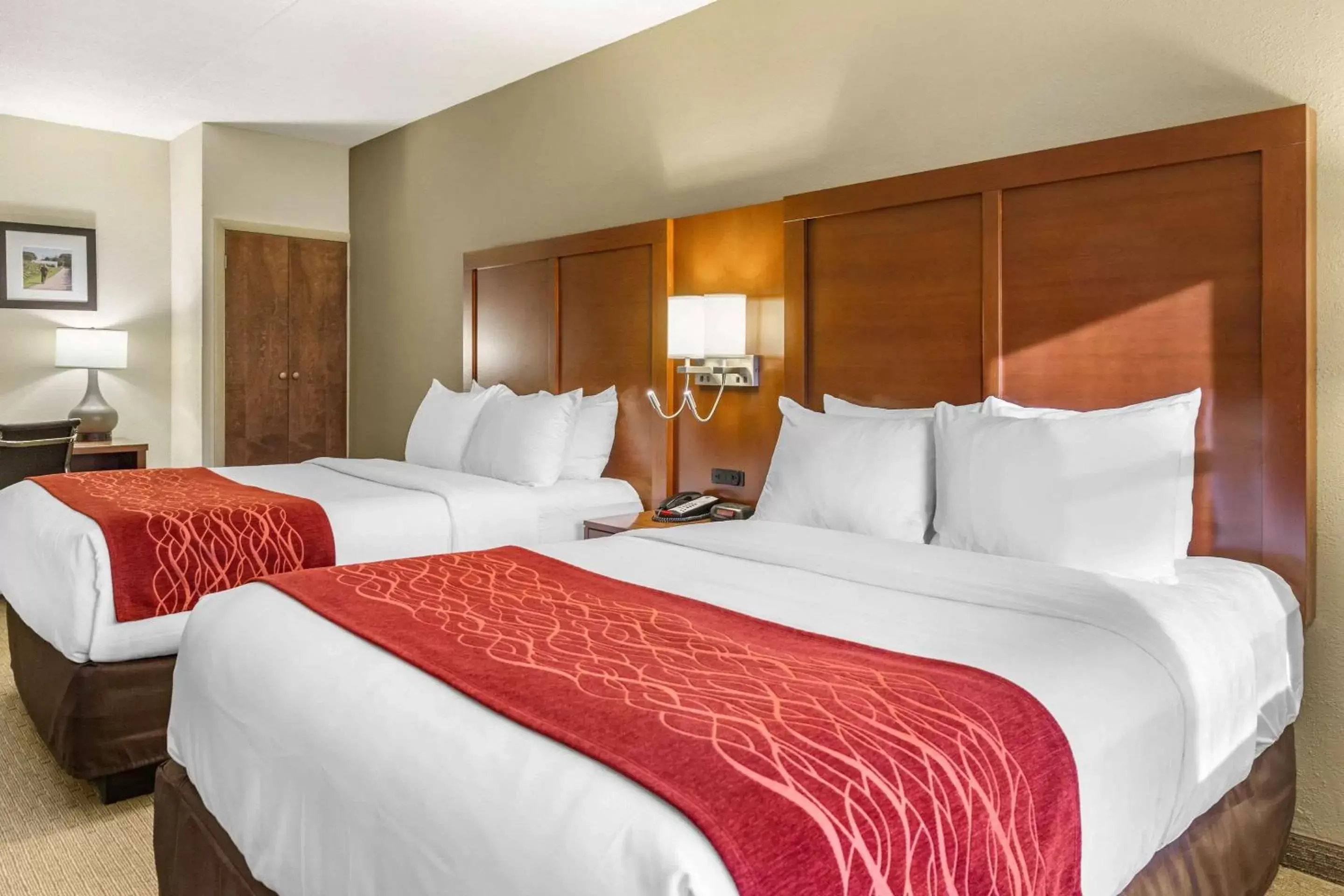 Photo of the whole room, Bed in Comfort Inn Lancaster at Rockvale Photo of the whole room, Bed in Comfort Inn Lancaster at Rockvale