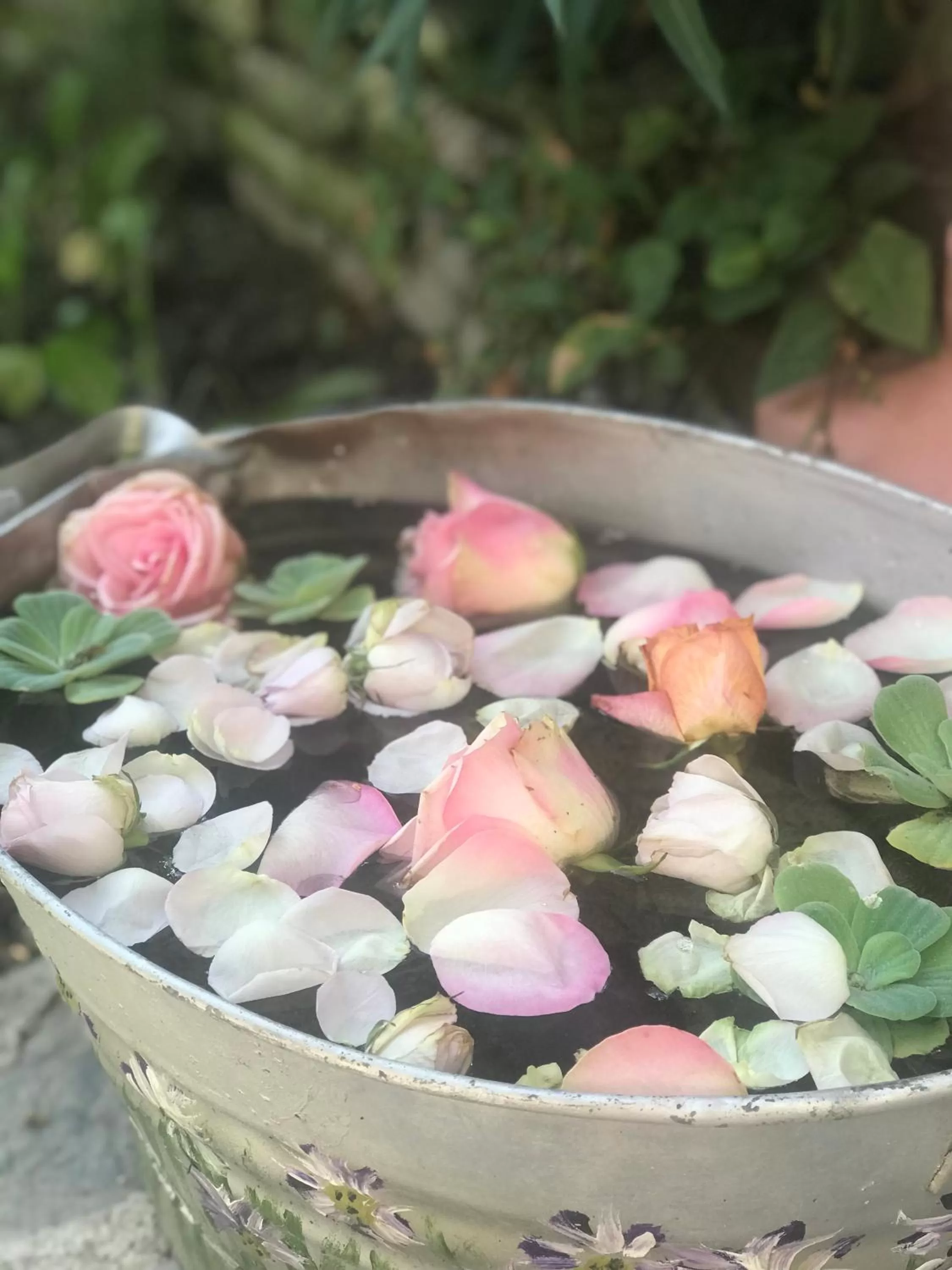 Ti vengo a cercare B&B