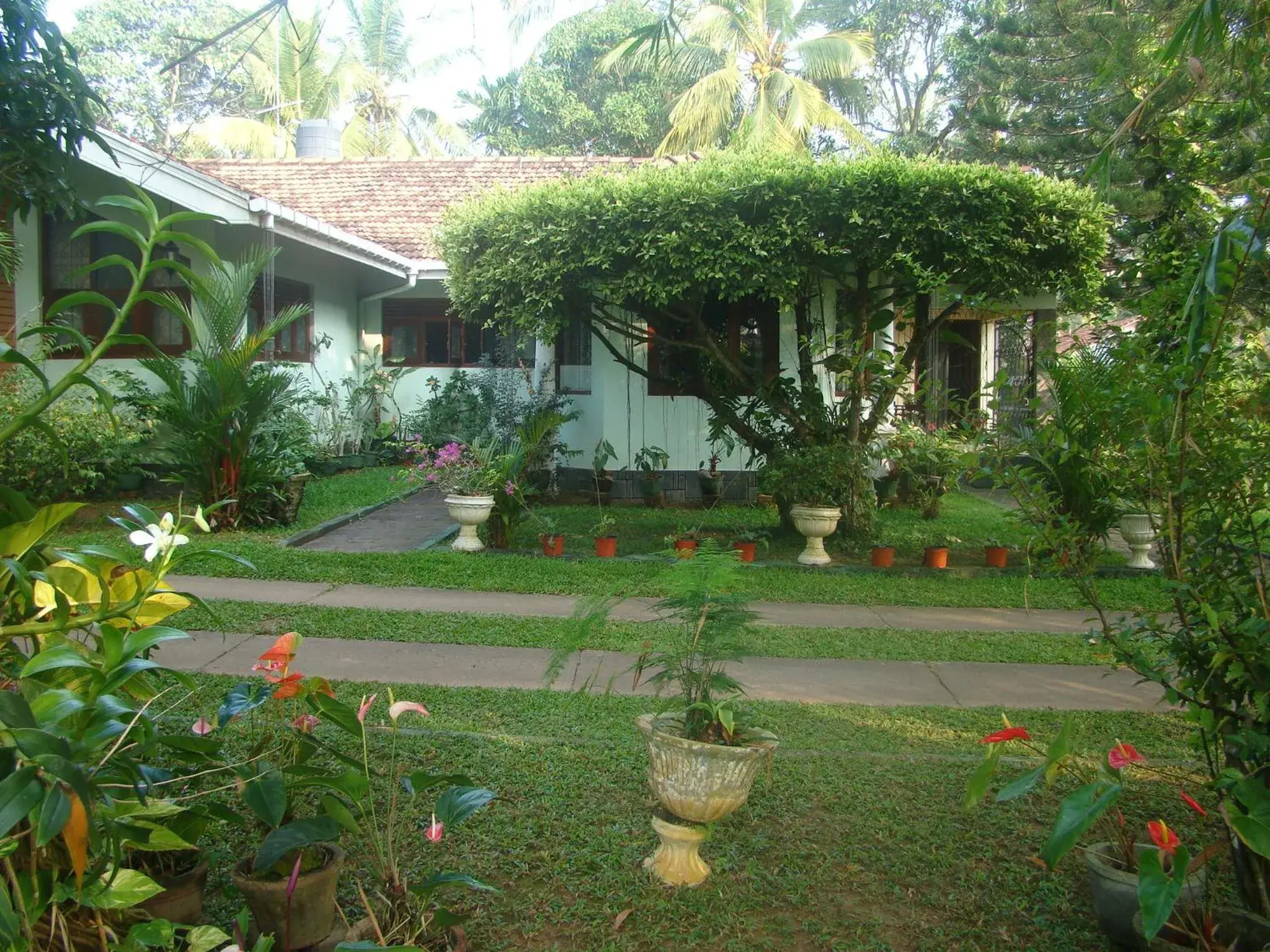 Garden in Villa Shade