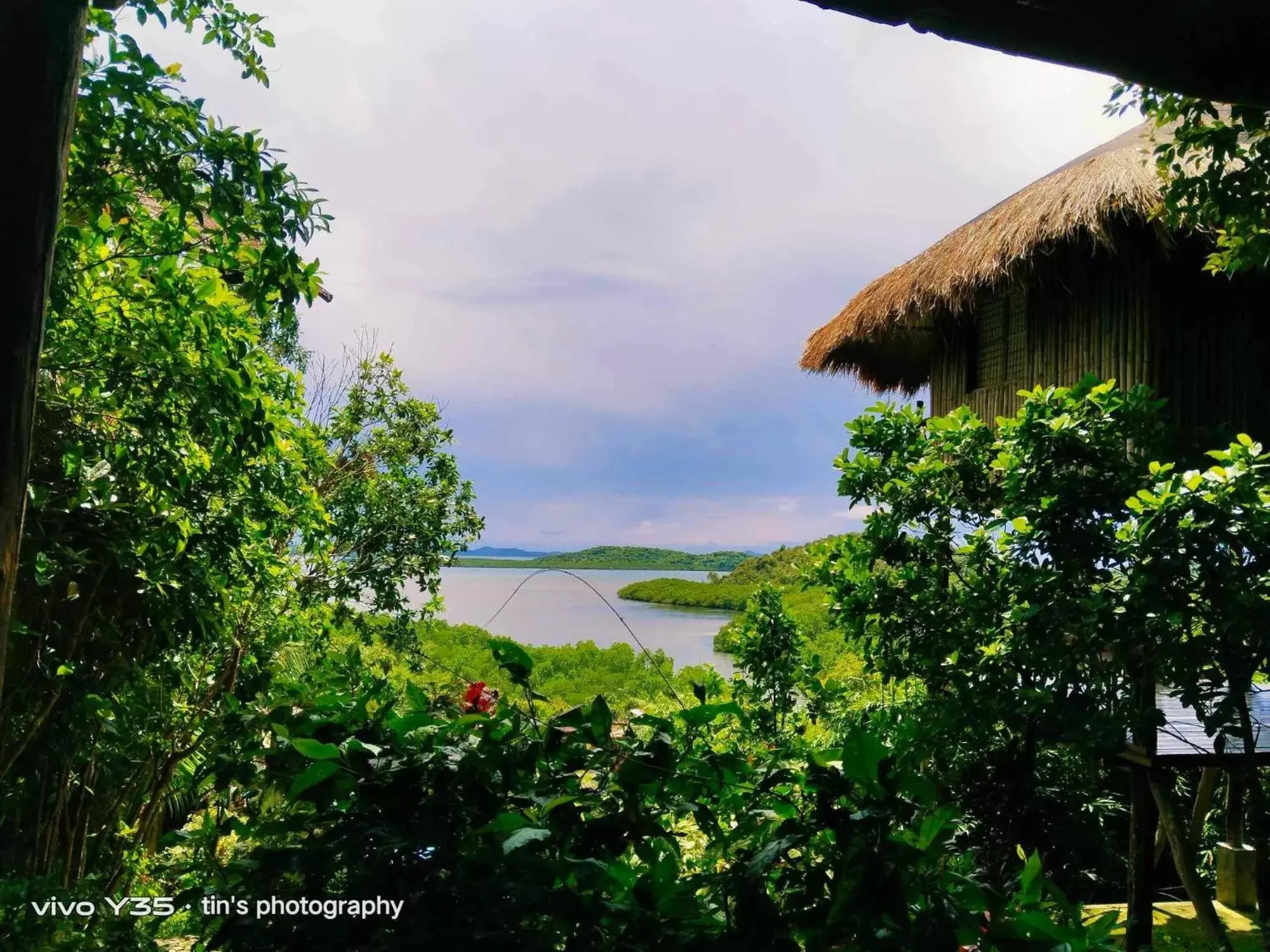 Sanctuaria Treehouses Busuanga