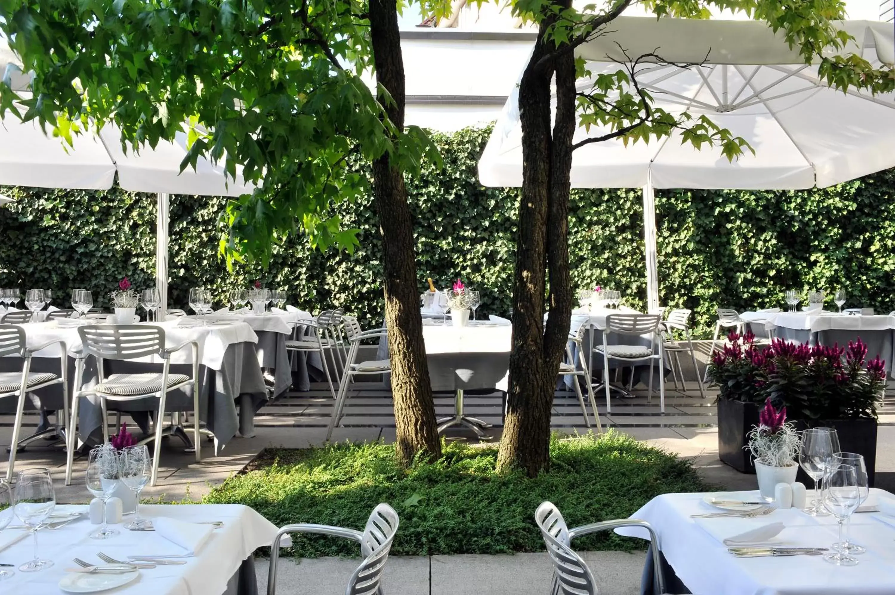 Restaurant/Places to Eat in Widder Hotel - Zurichs luxury hideaway