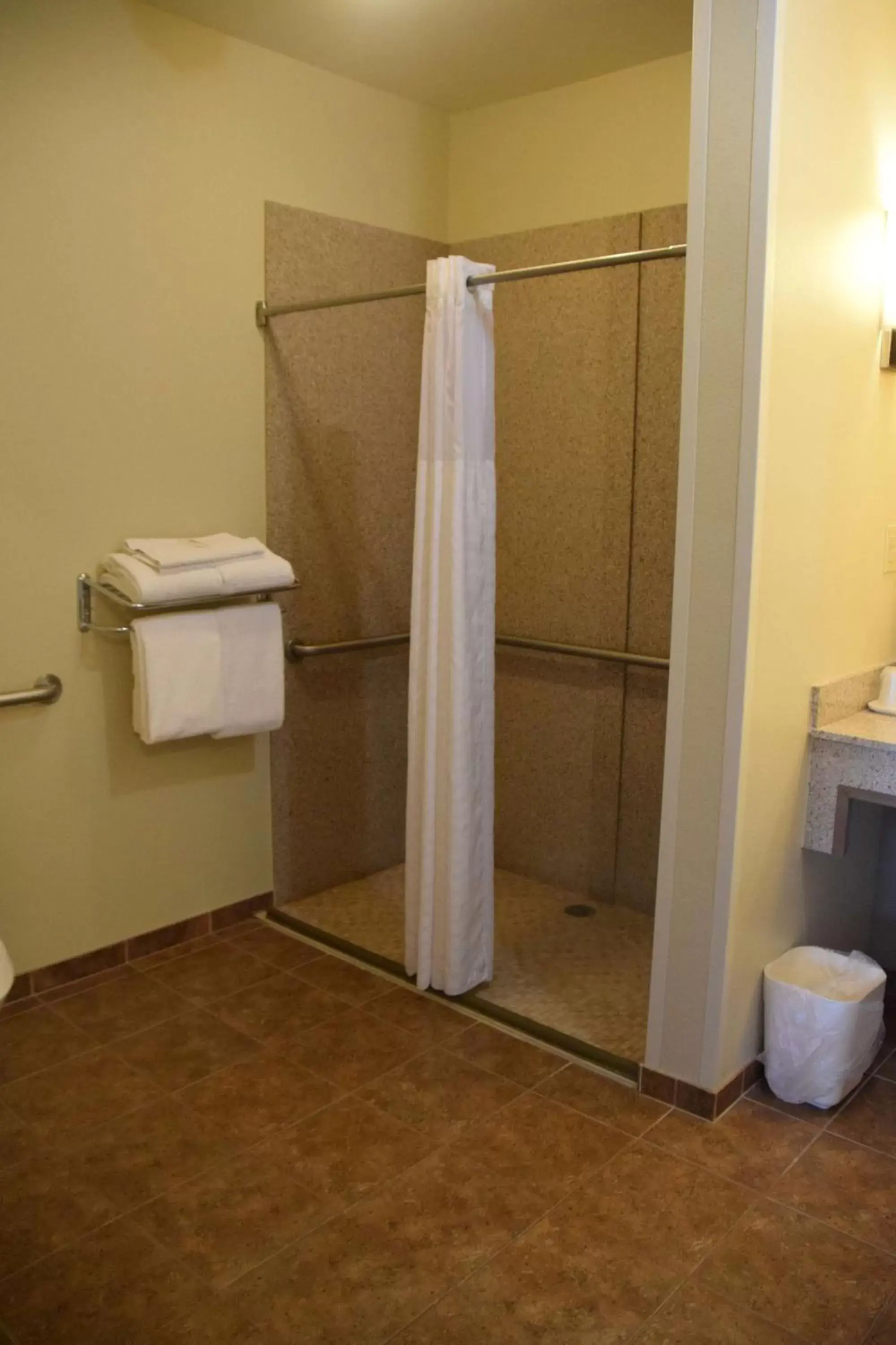 Bathroom in Best Western Dothan Inn & Suites