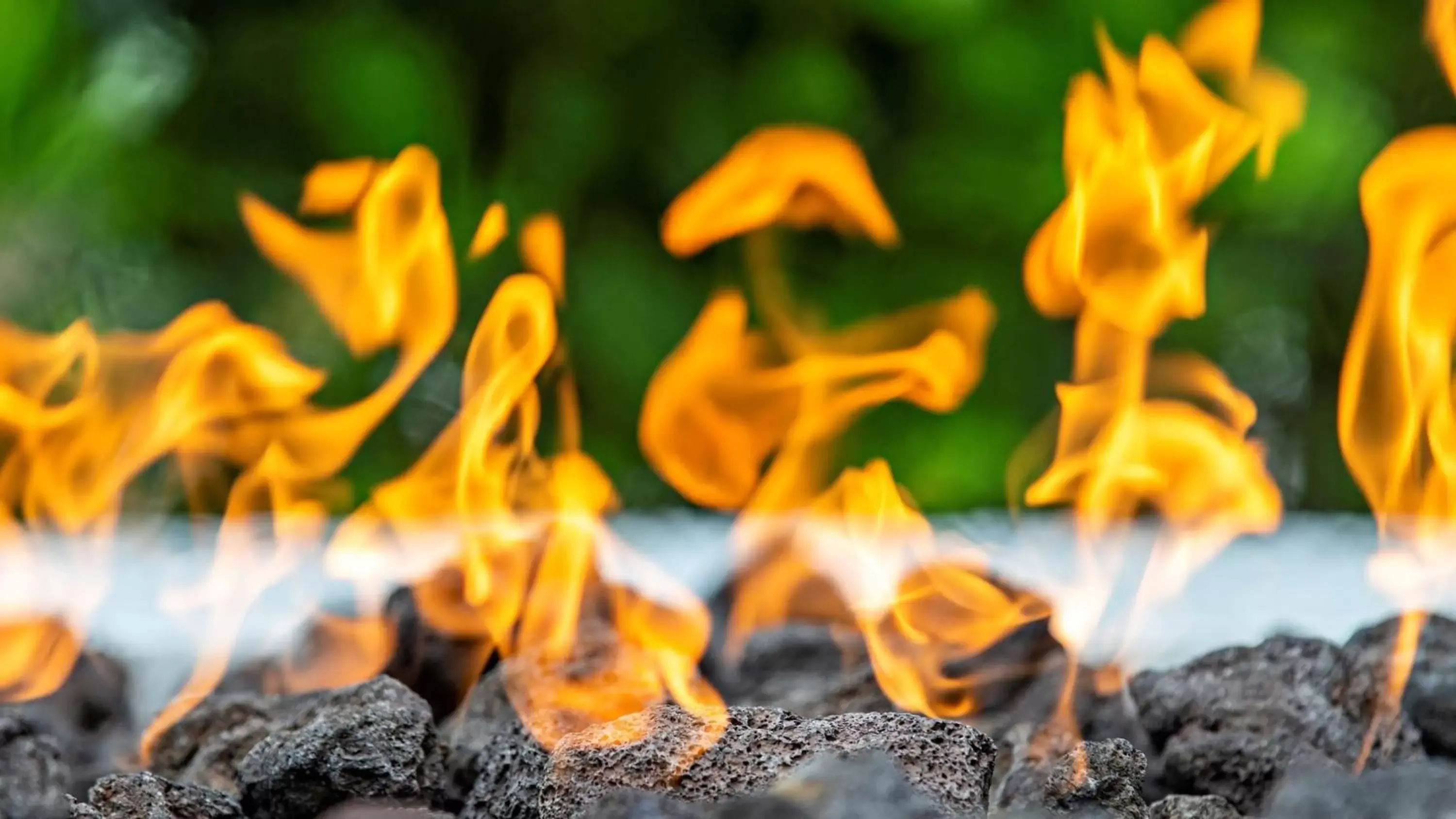 Lobby or reception in Staybridge Suites - Naples - Marco Island by IHG Lobby or reception in Staybridge Suites - Naples - Marco Island by IHG