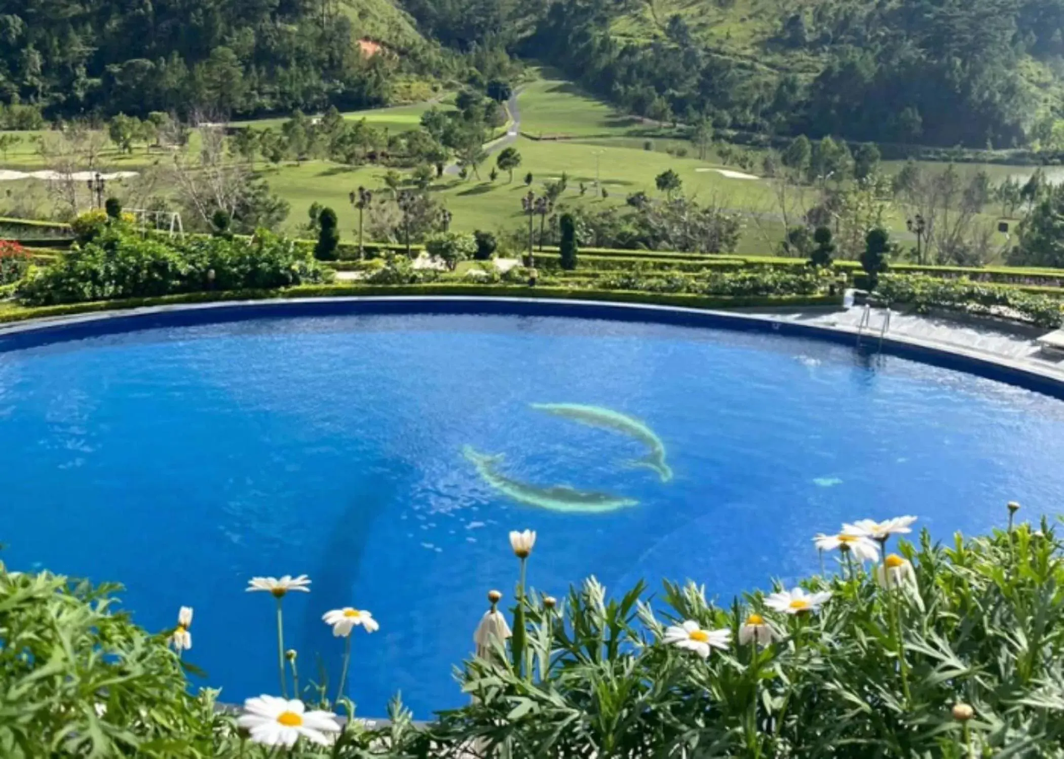 Pool view, Swimming Pool in Swiss-Belresort Tuyen Lam