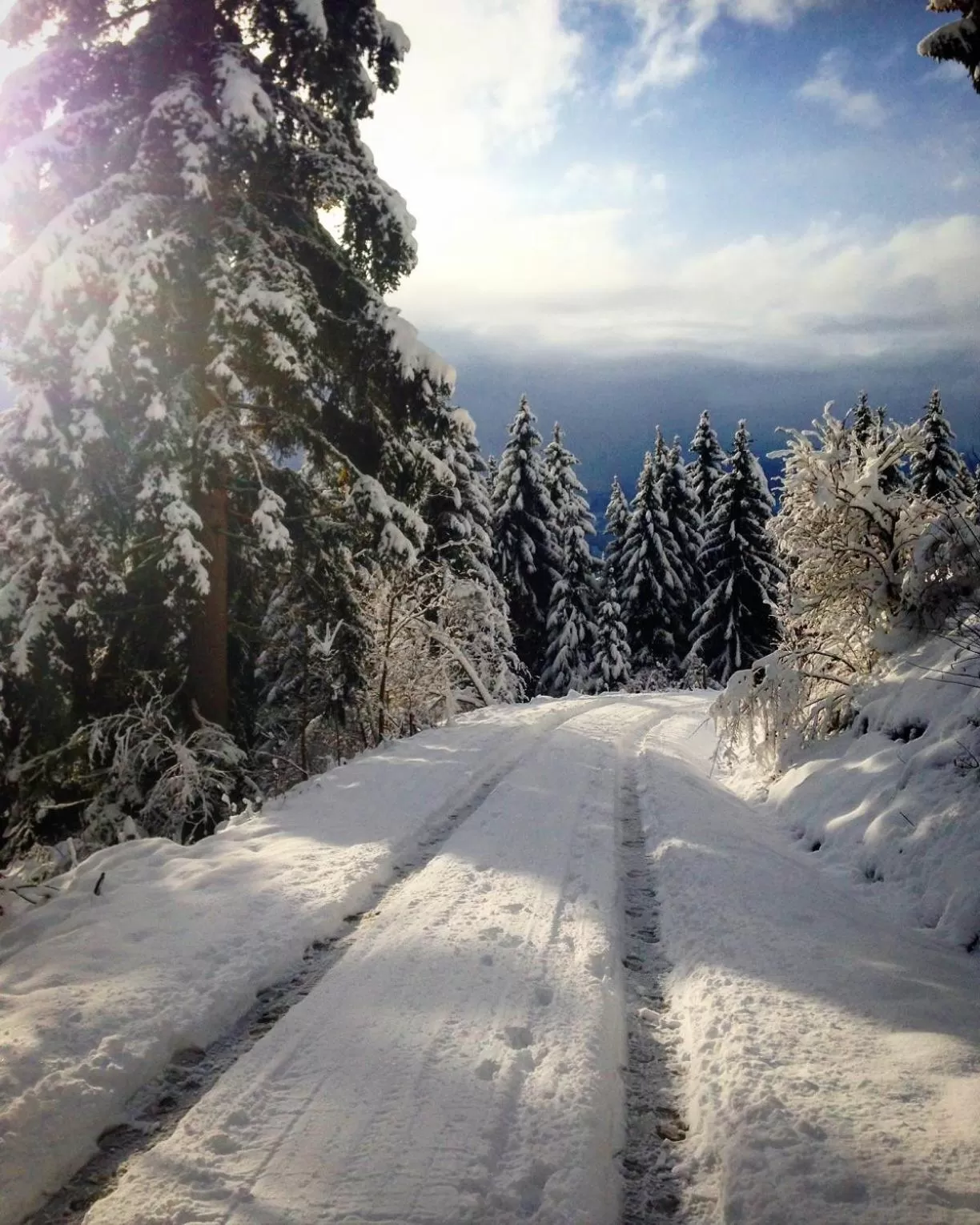 Property building in Haus Nohra