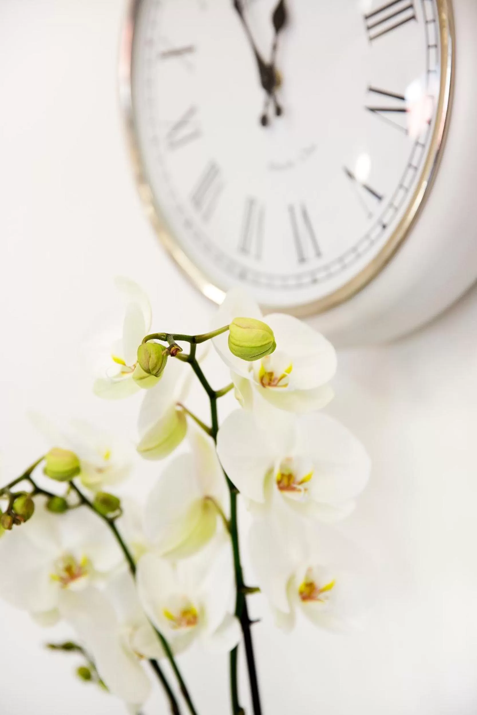 Spa and wellness centre/facilities in Hotel Sandwirth