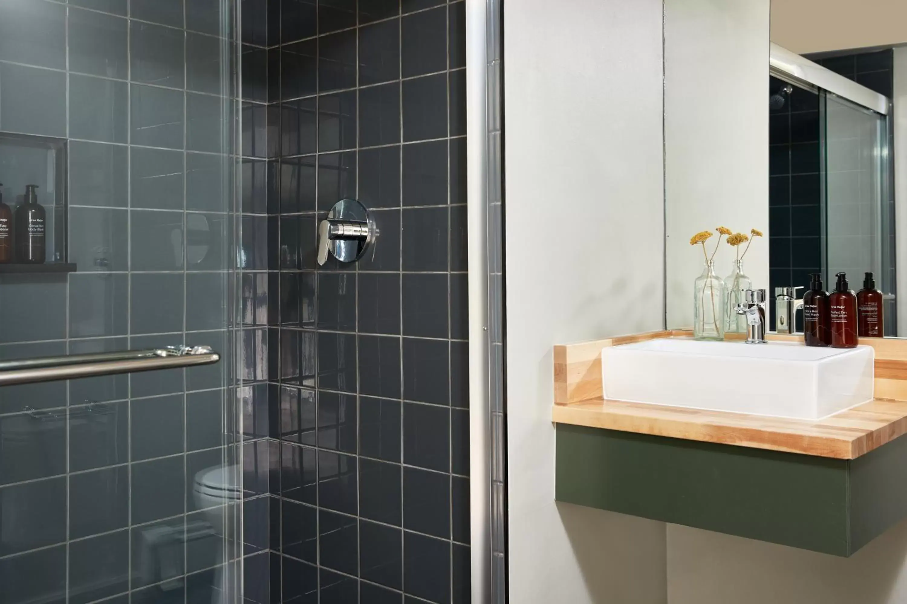 Shower, Bathroom in Hunter Lodge, a Bluebird by Lark