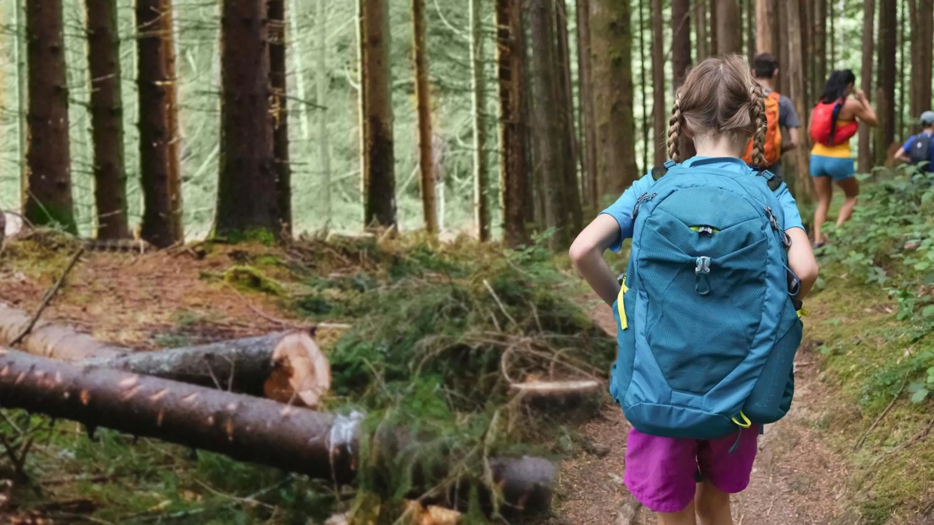 Nearby landmark in Holiday Inn Club Vacations Apple Mountain Resort at Clarkesville