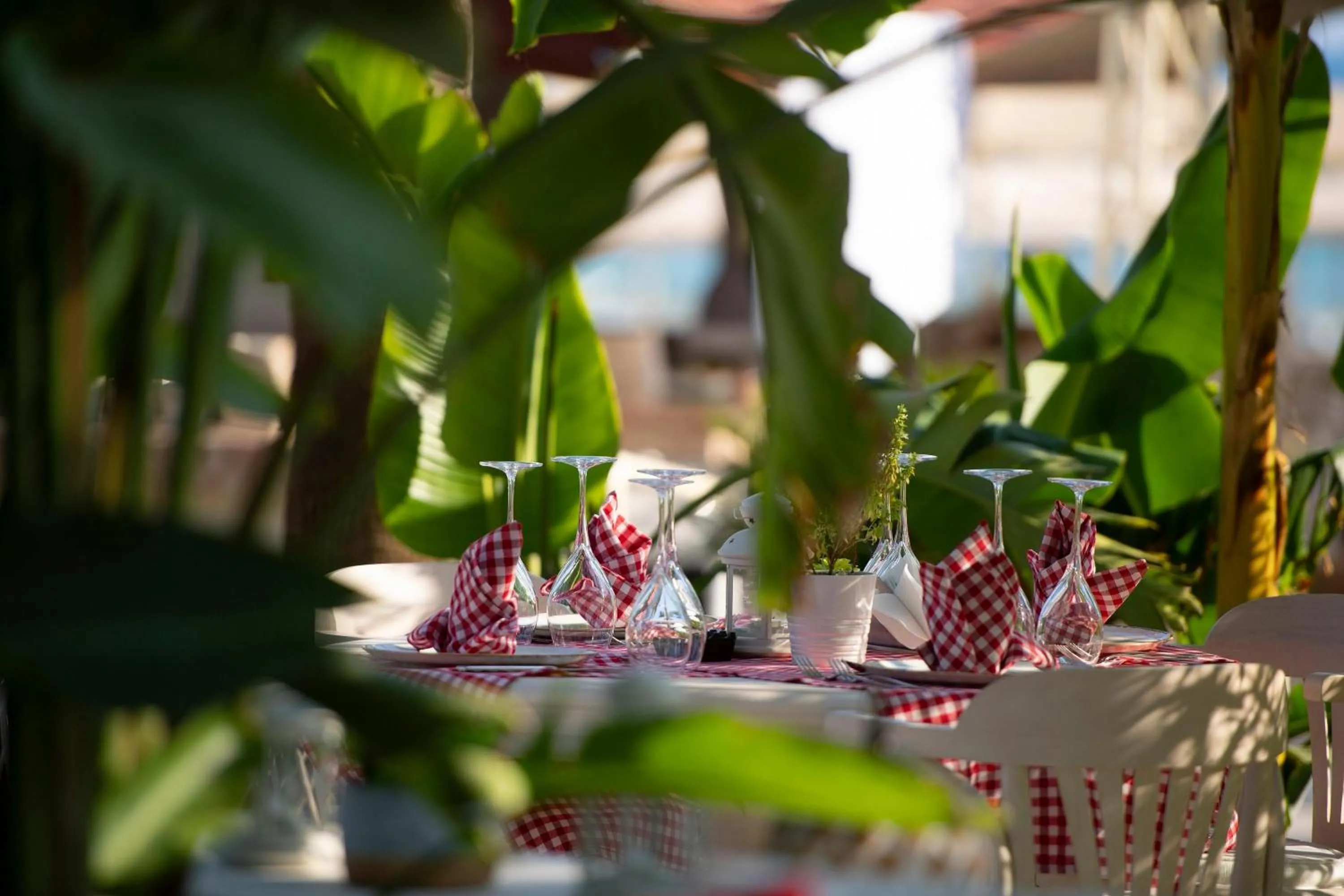 Restaurant/places to eat in Miramare Beach Hotel - Ultra All Inclusive