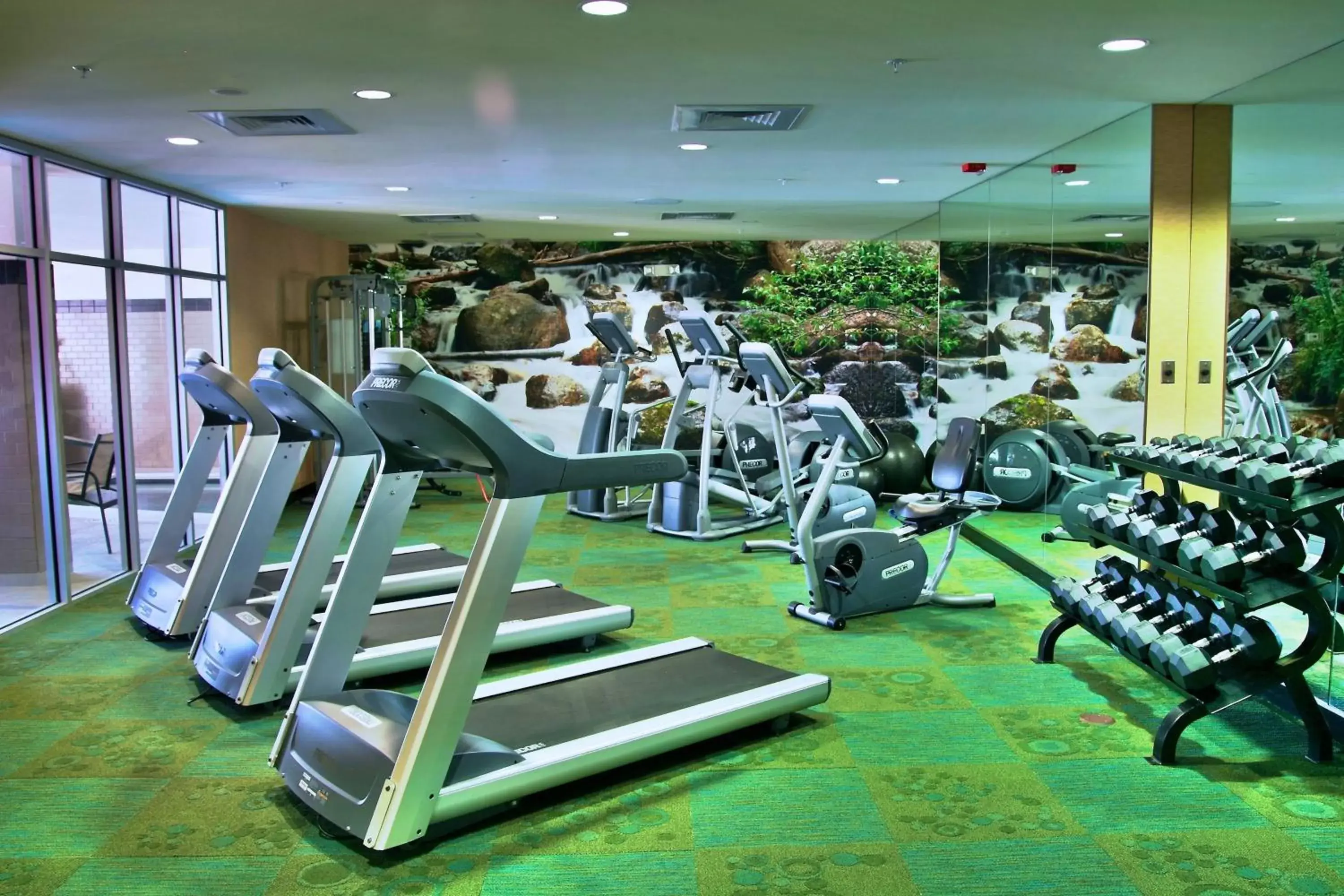 Fitness centre/facilities, Fitness Center/Facilities in Springhill Suites by Marriott Pueblo Downtown