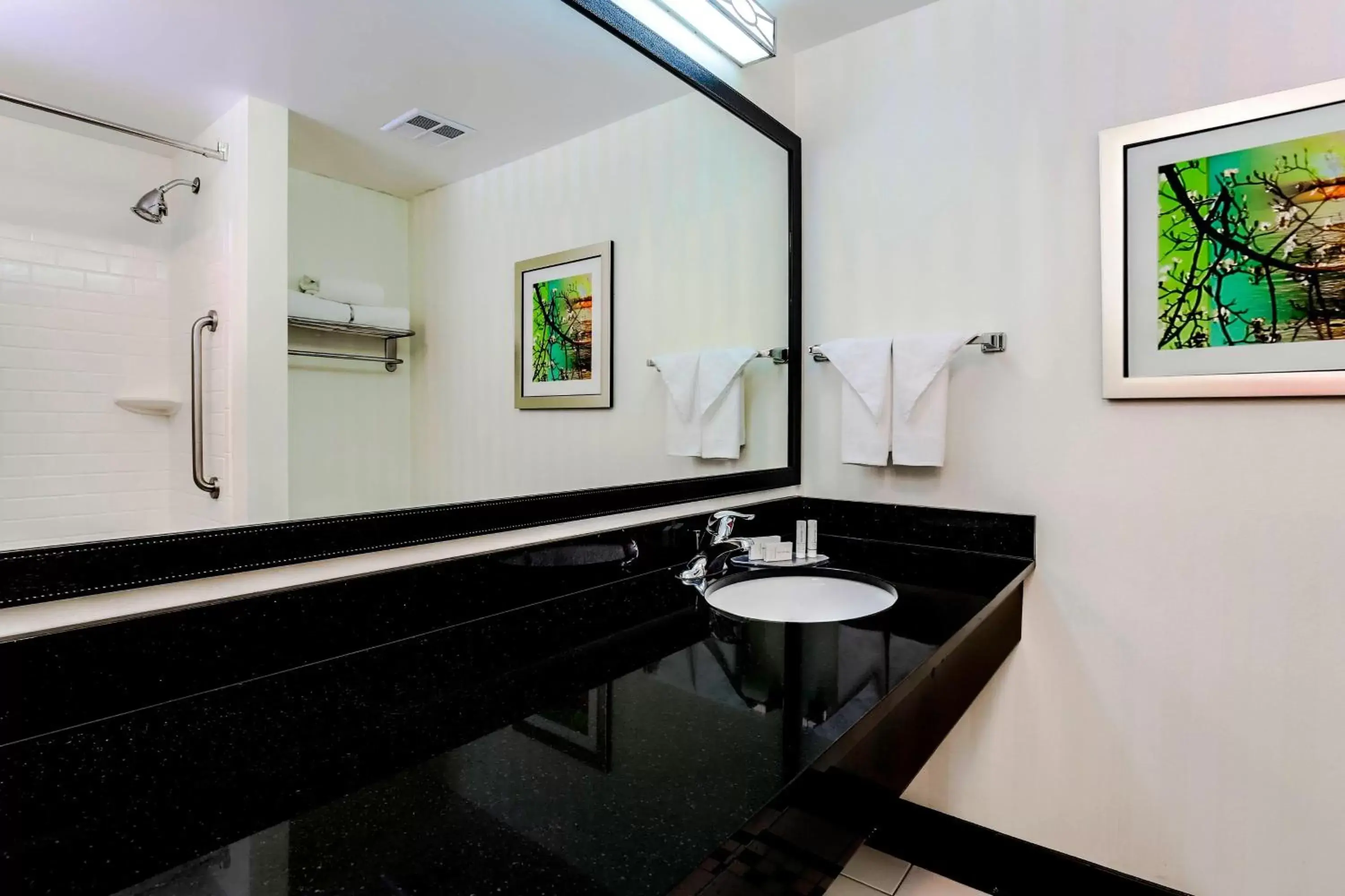 Bathroom in Fairfield by Marriott Wilkes-Barre