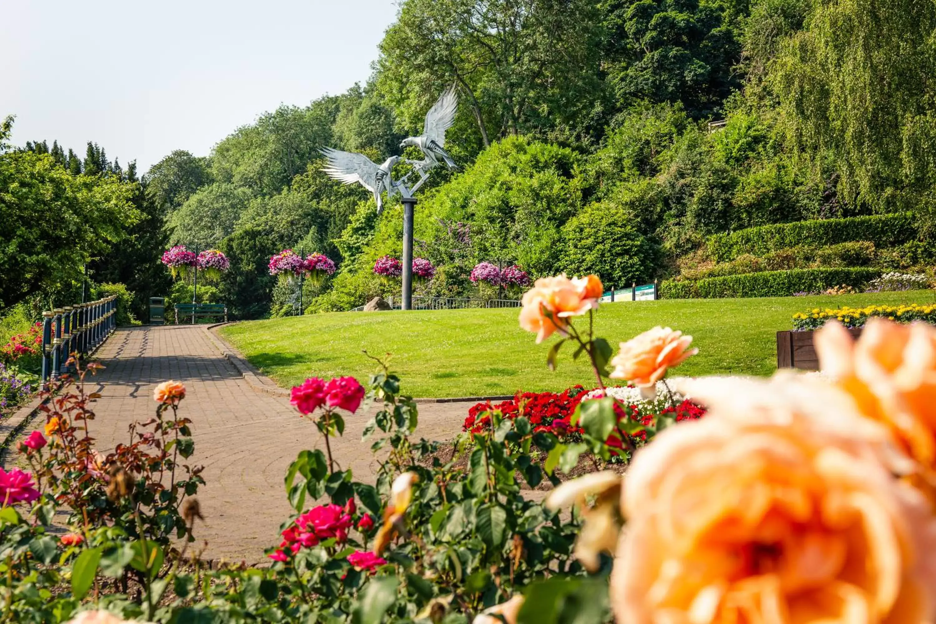 Natural landscape, Garden in Mount Pleasant Hotel