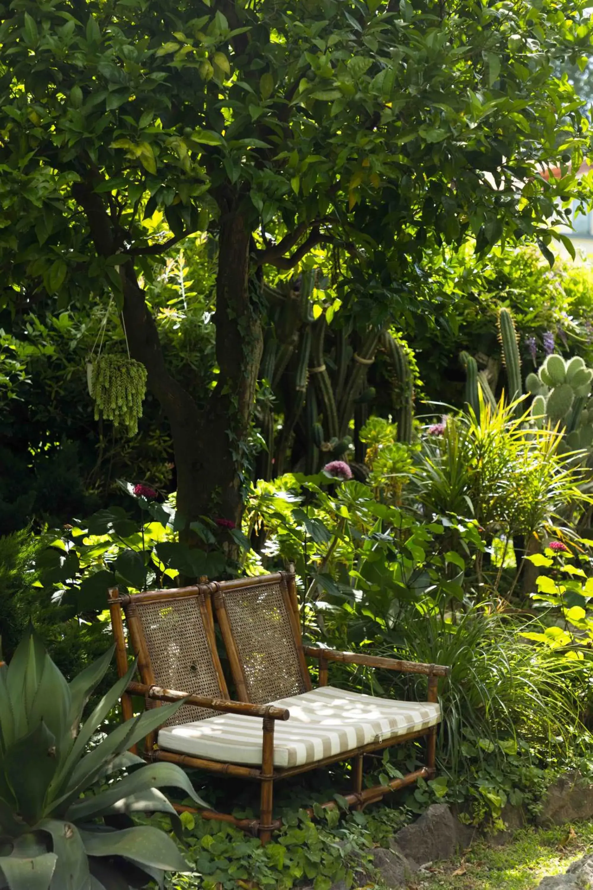 Garden in Grand Hotel Cocumella