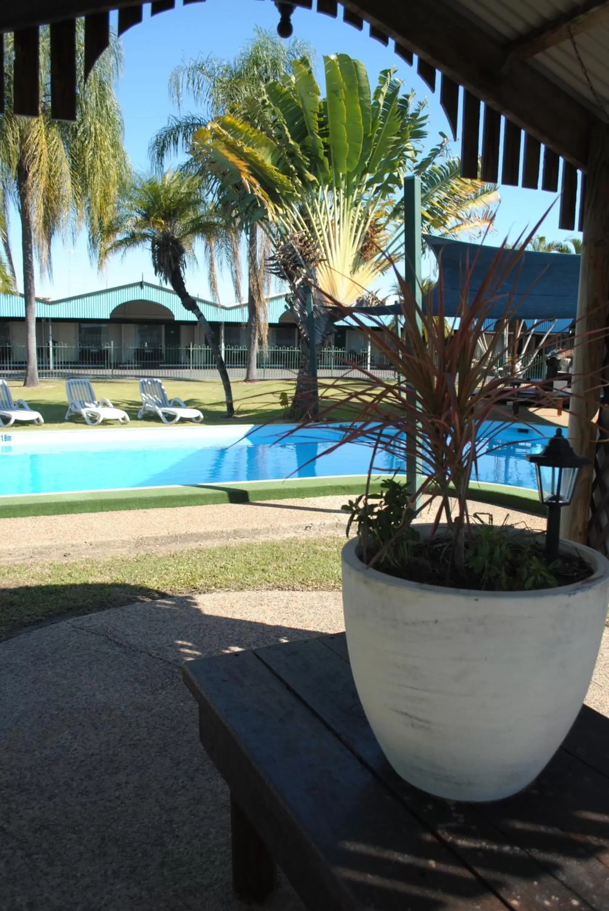 Swimming pool in David Motor Inn Swimming pool in David Motor Inn