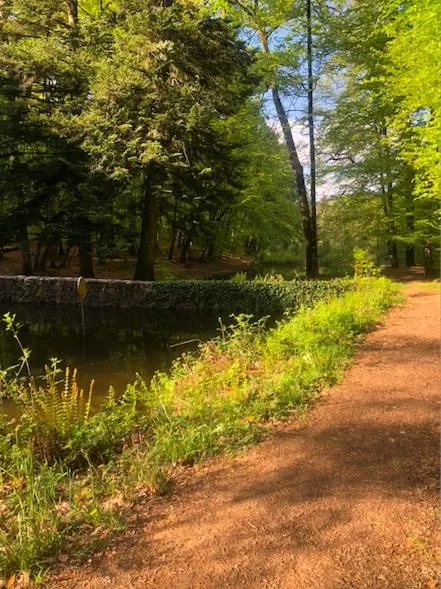 Garden in Chambre d'hôte txaleta (le Chalet)