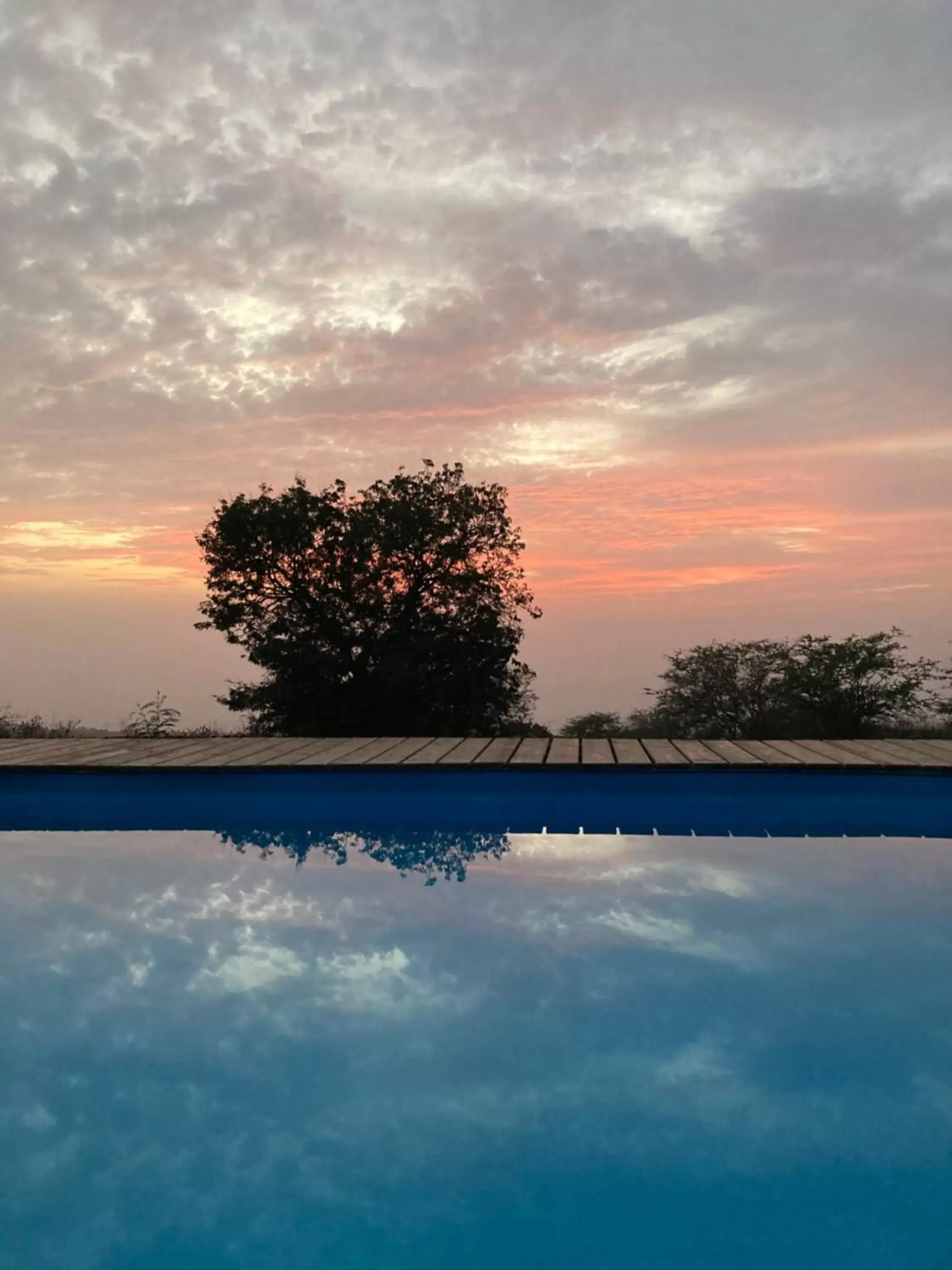 Pool view in La Fora Ecolodge Pool view in La Fora Ecolodge