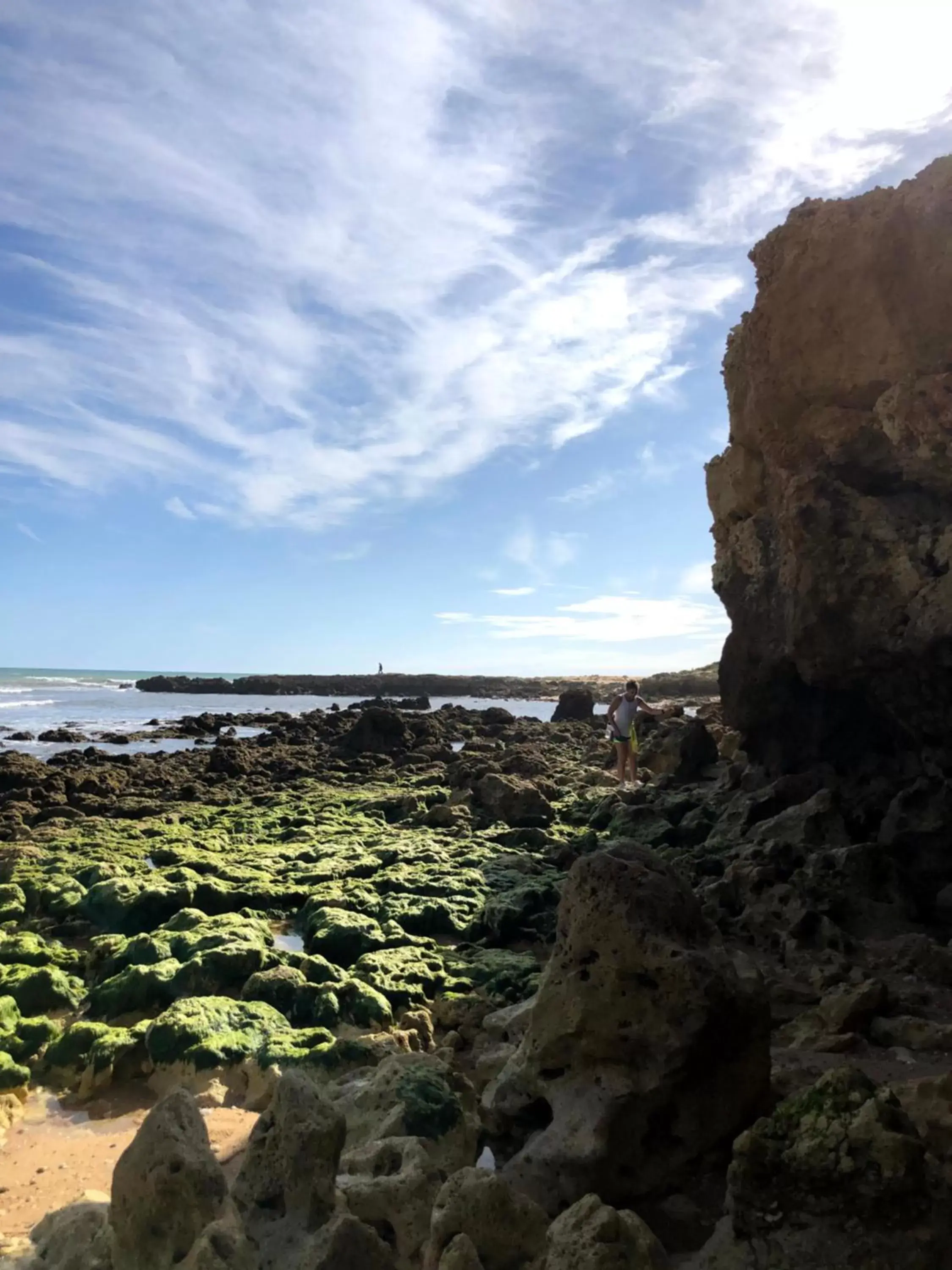 Natural landscape in Quinta Pedra Dos Bicos