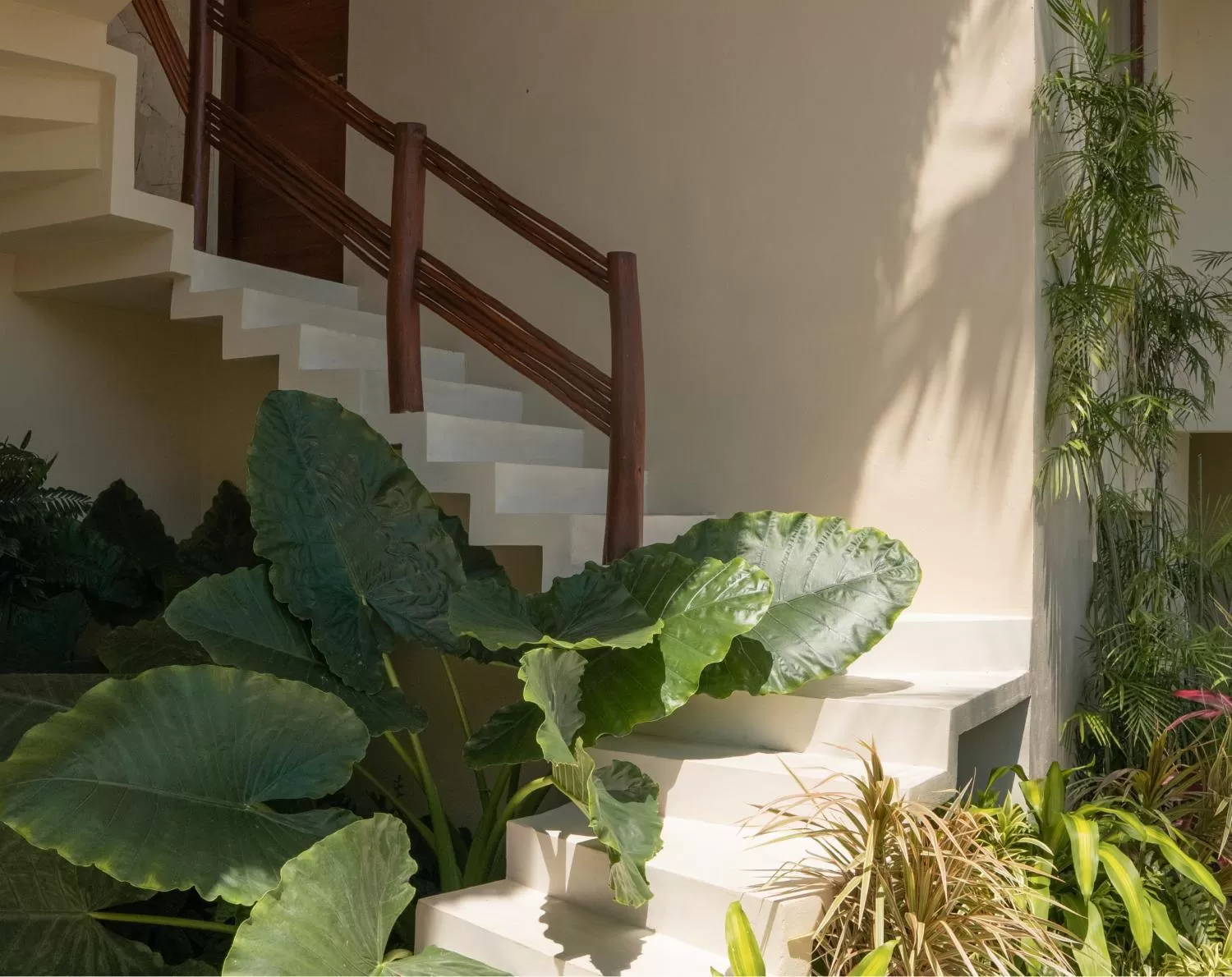 Garden in Puerta del Cielo Hotel Origen