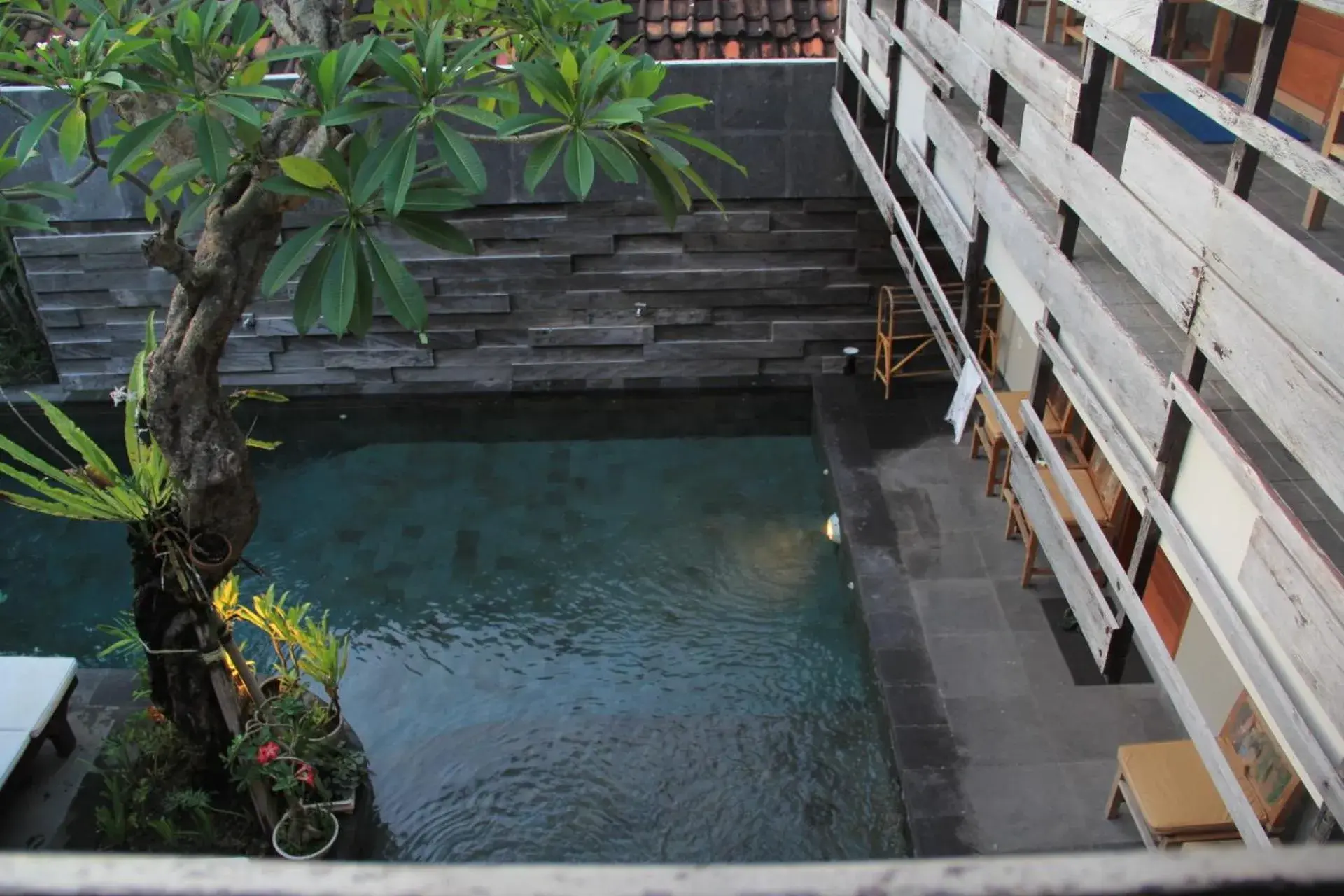 Swimming pool in Semarandana Bedrooms and Pool
