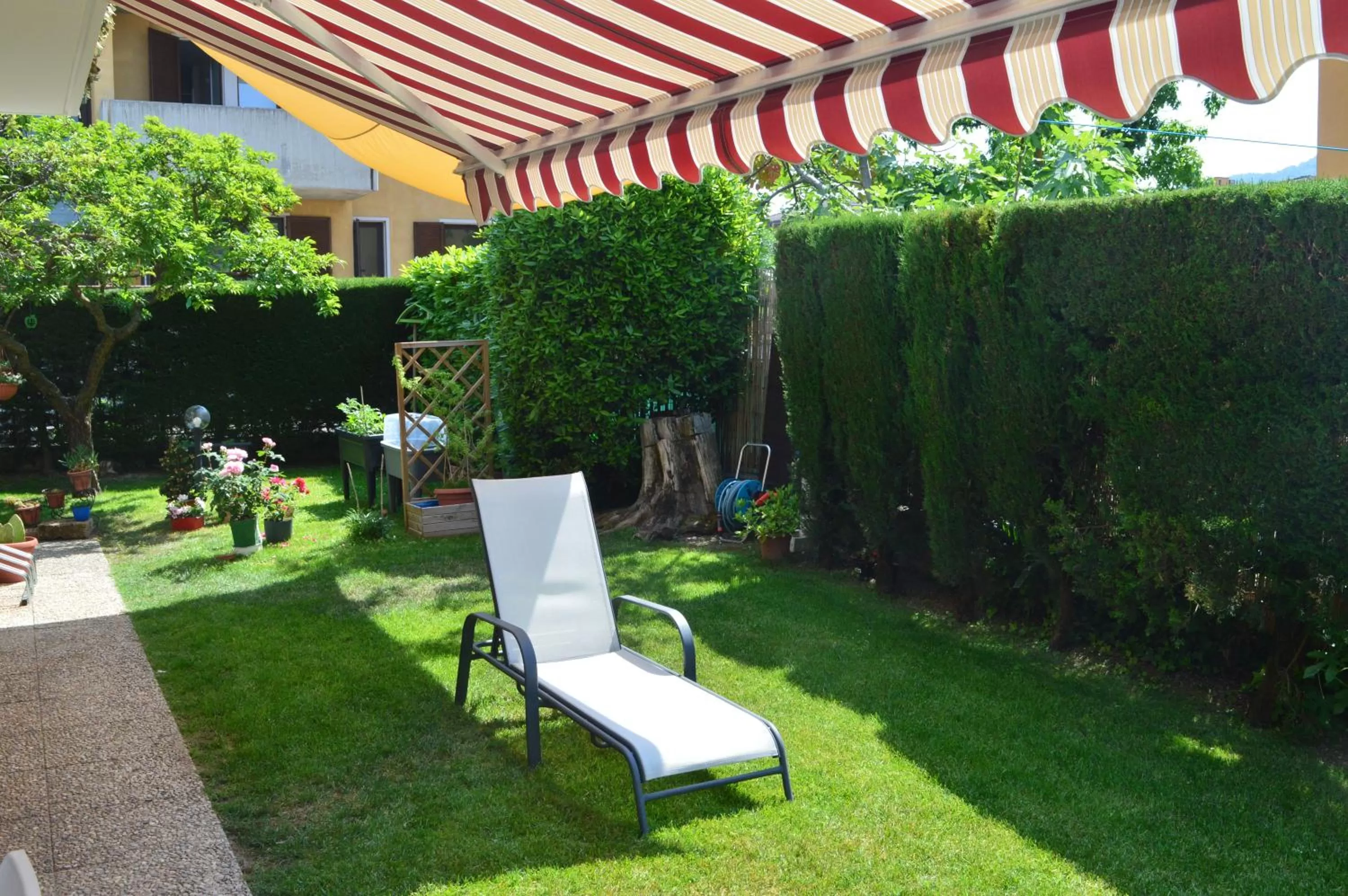 Garden in Il Sole e la Luna B&B in Garda