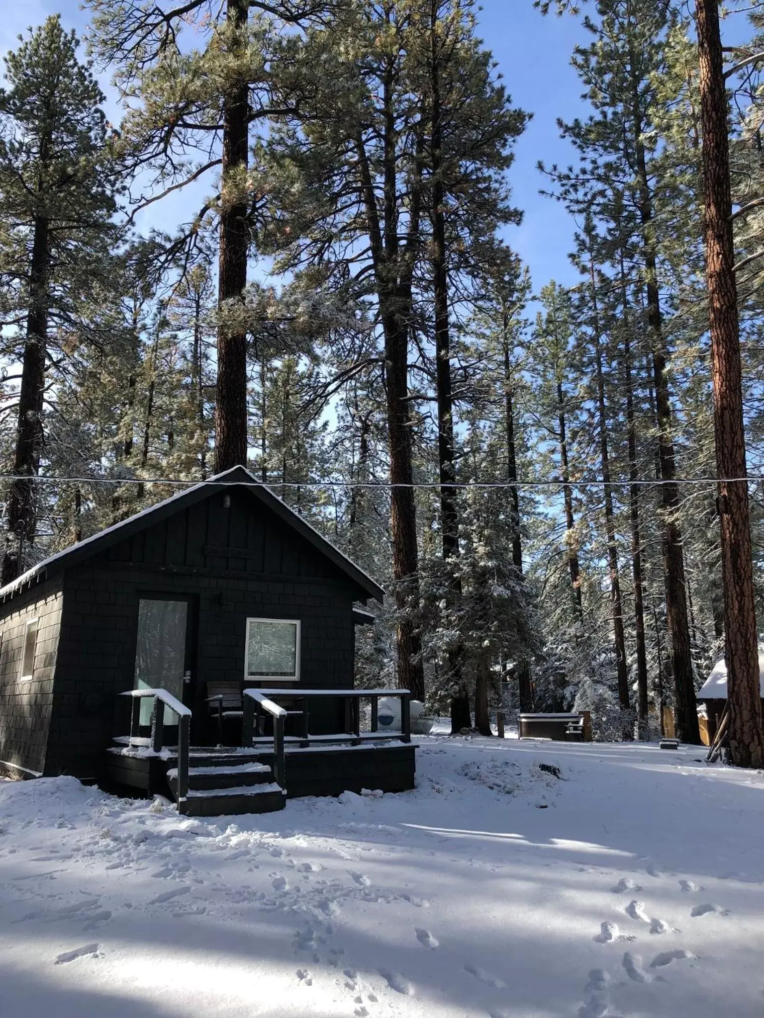 Winter in Colorado Lodge